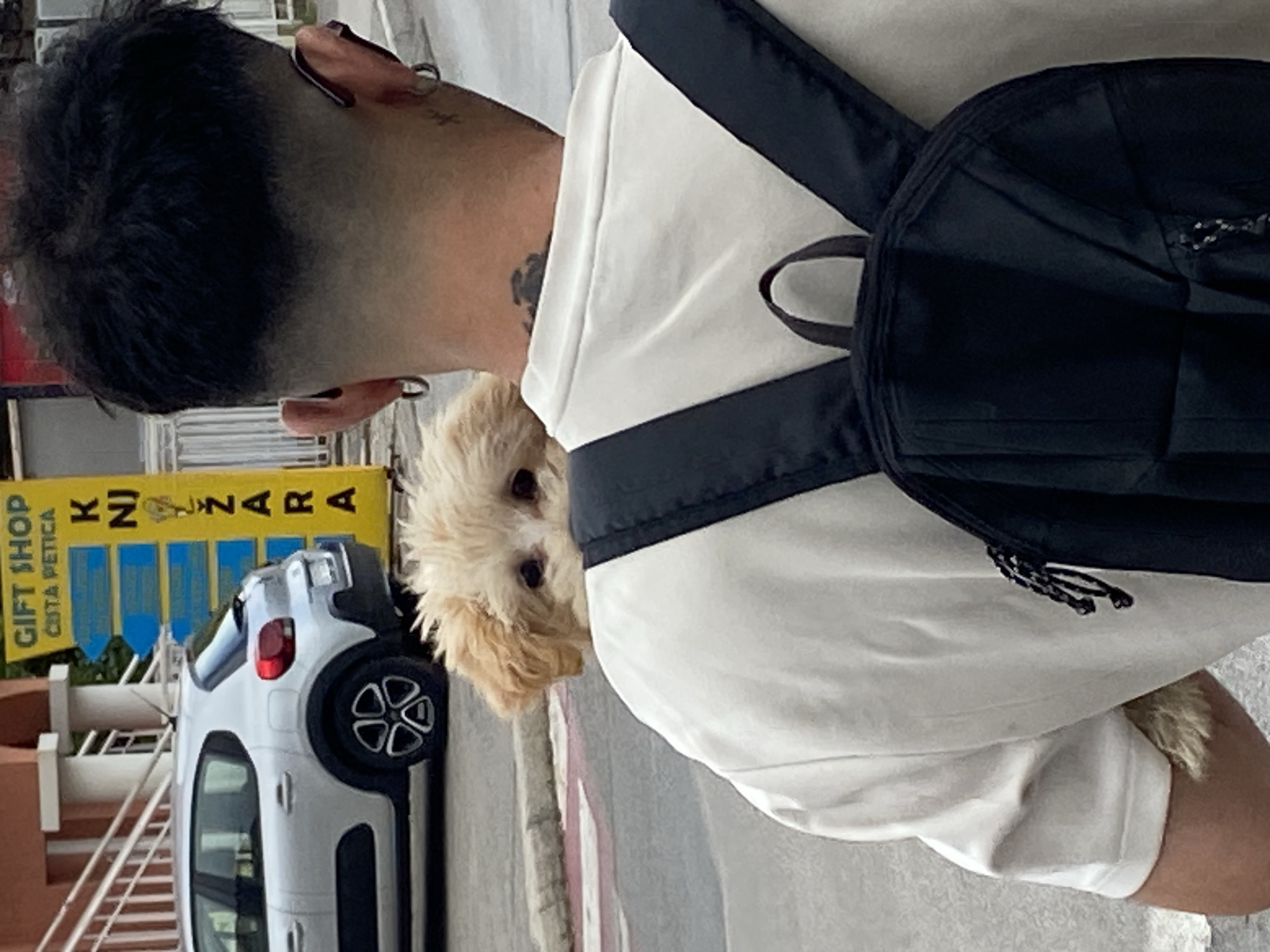 A man with a fresh haircut, dark dyed hair, and hoop earrings carries a small, light-colored dog on his shoulder in front of a gift shop and a silver car in Budva, Montenegro. The dog peeks out from behind the man's head, its eyes visible. The man wears a white t-shirt and a black backpack. A yellow sign with blue arrows and text in a foreign language is visible behind the car. The scene appears to be on a street, with a paved surface and a sidewalk.