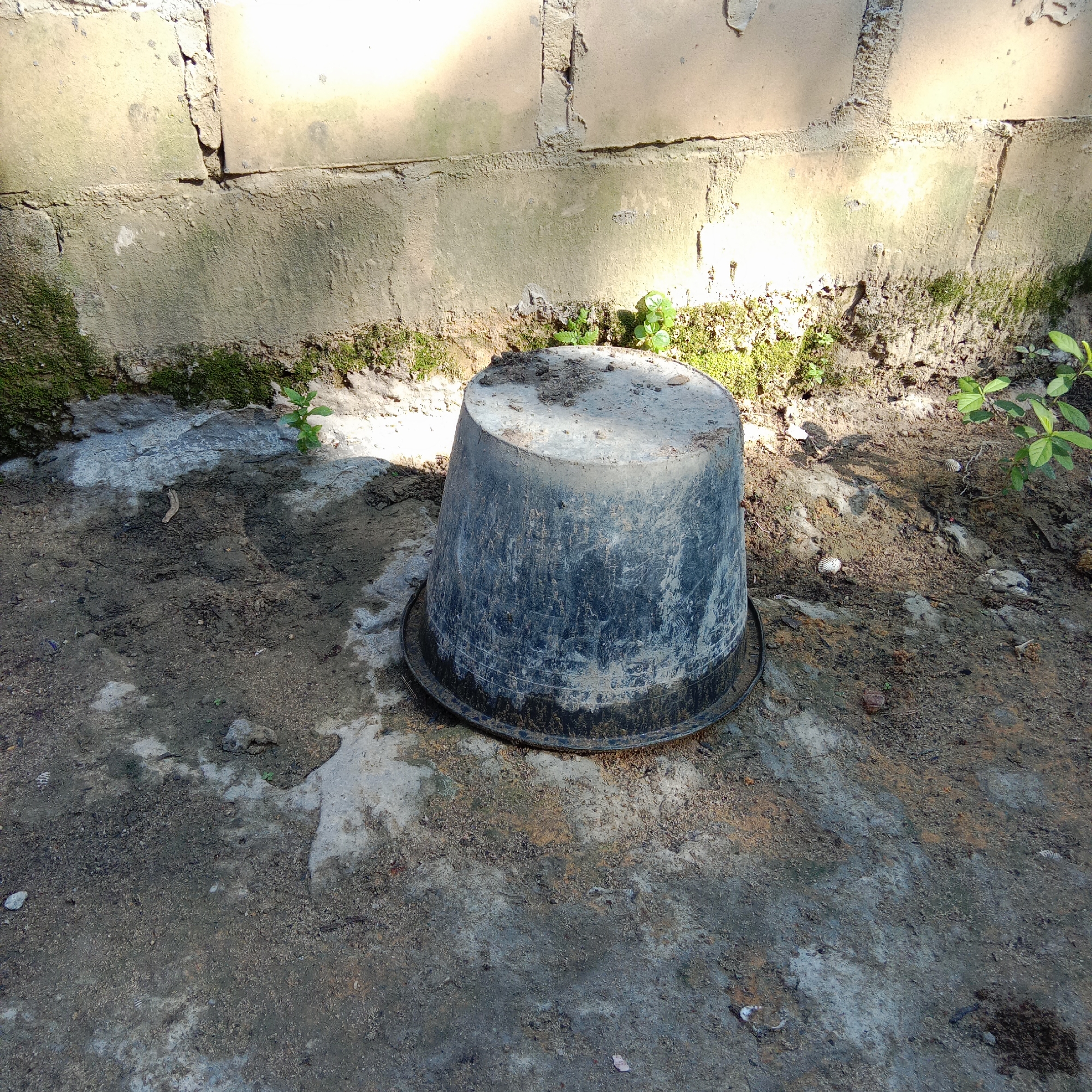 A weathered, dark gray plastic bucket is placed upside down on a dirt and concrete ground. The bucket is dirty and appears to have dried mud or dirt caked on its exterior. Behind the bucket, a light-colored brick wall with visible mortar lines stretches across the background. Moss and small green plants are growing at the base of the wall, encroaching onto the ground. The ground surface is a mix of dirt, small pebbles, and patches of concrete, with evidence of some moisture. Sunlight casts shadows on the wall and ground, suggesting it is outdoors during the day. The scene appears to be an exterior area, possibly a backyard or unused space, in a location that is not specifically identifiable but is stated to be in Unknown, Indonesia.
