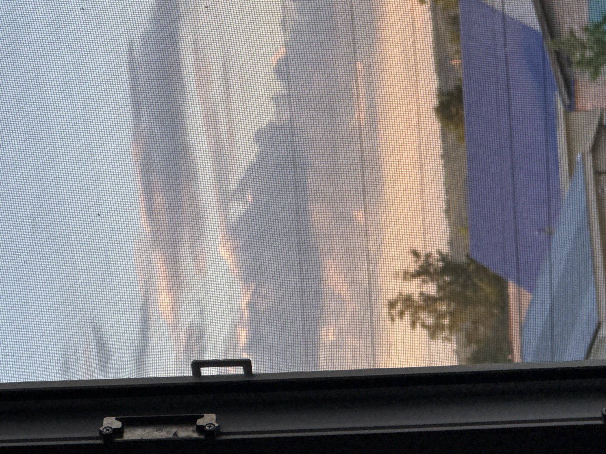The image captures an outdoor scene viewed through a window screen, likely at sunrise or sunset. The sky displays a gradient of colors, transitioning from light blue and grey on the left to warm golden, orange, and pink hues on the right, indicating the soft light of dawn or dusk. Clouds are scattered across the sky.
A prominent feature of the scene is a large, vertical blue structure or awning on the far right. Below this, and extending towards the center-right, are trees or bushes with dark green foliage, appearing somewhat silhouetted against the sky. The fine mesh pattern of the window screen covers the entire outdoor view, creating a textured overlay.
At the bottom of the image is a dark window frame, possibly black or very dark grey. A small handle or latch is visible near the center of the frame's top edge, and two metallic fasteners are attached to a lower section of the frame. The image provides a quiet, contemplative glimpse of the outdoor environment from an interior perspective in Mozhga, Russia. No discernible text is visible.
