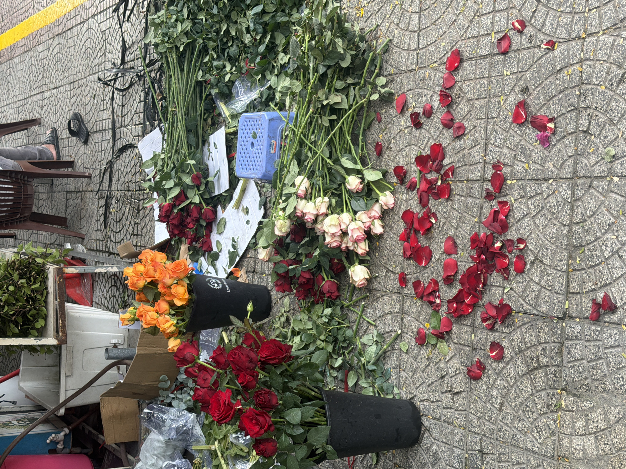 This vertical, eye-level shot captures a vibrant street flower display or a vendor's setup on a grey patterned sidewalk in Đà Nẵng, Vietnam. The scene is dominated by numerous bundles of fresh roses laid directly on the ground or placed in black fabric buckets.
The flowers prominently feature a large quantity of red roses, both in tight bundles with long green stems and arranged in two black cylindrical buckets. Orange roses are visible in another black bucket. Bundles of white and pale pink roses are also scattered on the pavement. Many loose, vivid red rose petals are strewn across the textured grey tiles, indicating active flower preparation, trimming, or sales. Green leafy stems, presumably from the roses, are also visible among the discarded petals.
In the background, on the left, a person's lower legs and feet, wearing sandals, are partially visible as they sit on a brown slatted chair. The sidewalk features a distinctive pattern of concentric arcs. A yellow stripe runs along the edge of the street or curb, next to a textured wall.
Other objects in the scene include a bright blue plastic stool, various discarded white paper and plastic materials, cardboard boxes, and a white plastic container with a hose connection, suggesting a water source nearby for the flowers. One of the black flower buckets clearly displays "Love you" text with a small logo, while another has "N2" printed on it. The lighting is bright and even, suggesting daytime. The overall impression is one of a busy, possibly temporary, flower market or stall.