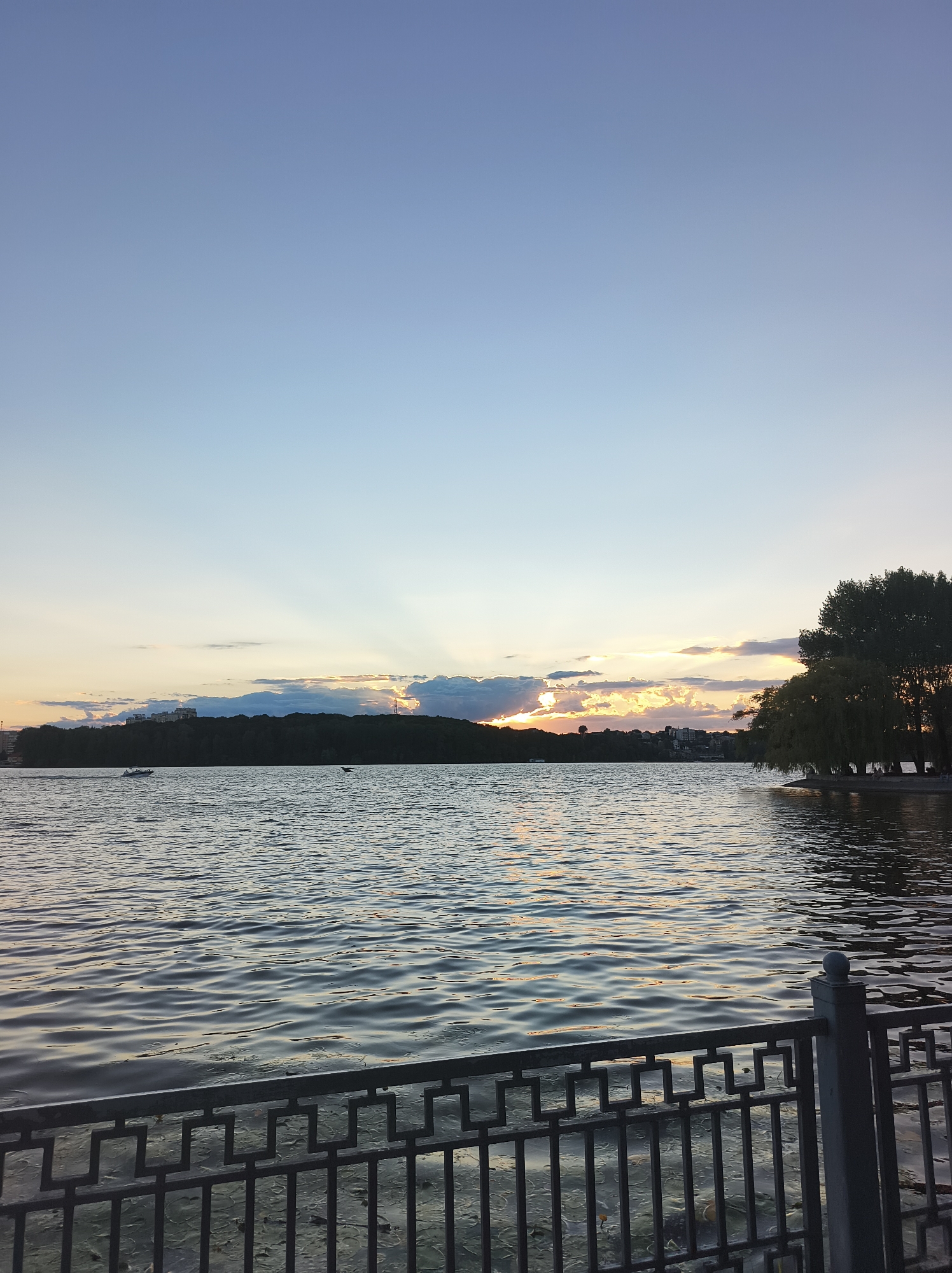 This image depicts a scenic view of Ternopil Lake in Ternopil, Ukraine, during what appears to be sunset. The sky is a gradient of pale blue, transitioning to lighter shades near the horizon where a band of clouds catches the warm glow of the setting sun. Rays of light are visible emanating from behind the clouds, creating a dramatic effect.
In the mid-ground, a body of calm water reflects the sky and the distant landscape. On the left side of the lake, a tree-lined hill stretches across the horizon, with some buildings visible on top, suggesting a developed area on the hillside. A small boat with several occupants is moving across the water.
On the right side of the frame, a cluster of trees with lush green foliage grows on a small promontory extending into the lake. The foreground features a dark metal railing with a geometric pattern, bordering a paved area that overlooks the water. The overall atmosphere is serene and picturesque, characteristic of a park or waterfront area.