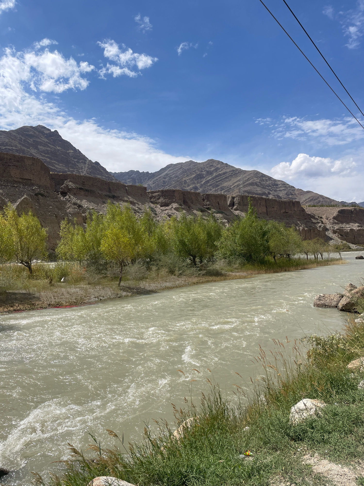 The image depicts a wide, turbulent river flowing through a valley. The river has a muddy, yellowish-green hue, indicative of silt or sediment. On the left bank of the river, there is a line of trees with vibrant green foliage, suggesting they are deciduous and it is likely spring or summer. The trees are situated on a relatively flat area that slopes up towards a steep, rocky hillside. The hillside is characterized by barren, eroded earth and layered rock formations, appearing dry and arid. Several power lines are visible stretching diagonally across the upper right portion of the frame. The sky is a bright blue with scattered white cumulus clouds. The overall environment suggests a remote, mountainous region. The reference to "Upshi, India" places the scene in the Ladakh region of India, a high-altitude desert known for its dramatic landscapes and rivers. There are no people or animals visible in the image. The scene is static and captured from a fixed viewpoint on the riverbank.