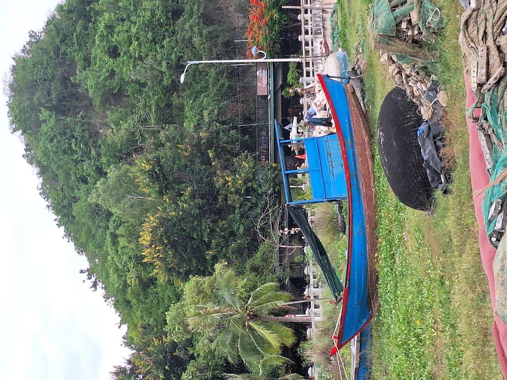 A vibrant blue and red wooden boat is grounded on lush green grass, its bow pointed towards the left. The boat's interior is partially visible, with some white structures and a person dressed in blue standing within. Behind the boat, a cluster of lush green trees and foliage form a dense canopy, creating a backdrop that slopes upward towards a hill. A single streetlamp stands to the right of the trees, its white pole extending upwards. In the distance, a building with a green roof is nestled amongst the trees. The scene is set in Nha Trang, Vietnam, likely along a waterfront area with a gentle incline leading to a vegetated hillside. The sky above is overcast and light.