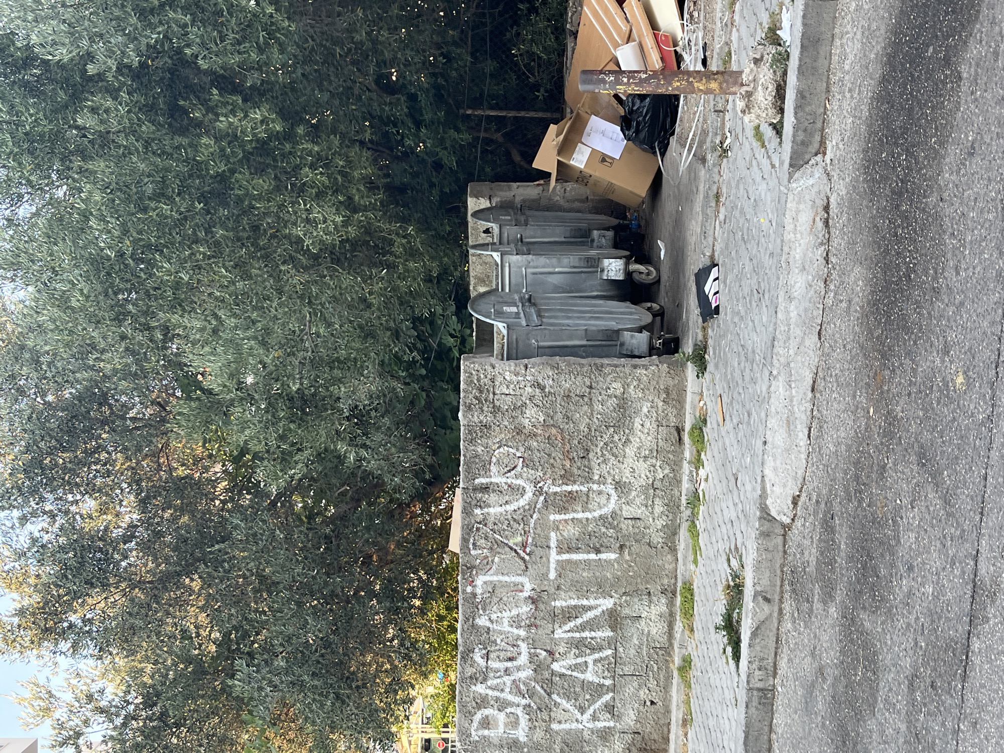 The image depicts an outdoor scene in Budva, Montenegro, likely in an urban or semi-urban area. The primary subjects are several large, gray, wheeled trash bins, some of which are partially obscured by a low concrete wall. The bins are situated on a paved area, possibly a sidewalk or alleyway, adjacent to a street with a rough asphalt surface.
To the left of the trash bins, a dense green tree canopy dominates the frame, suggesting a sunny day with the sun filtering through the leaves. Behind the bins, there is a pile of discarded items, including cardboard boxes, what appear to be pieces of wood, and a black trash bag. A rusty metal pole stands vertically near the pile of debris.
Graffiti is visible on the concrete wall in the foreground. The text, written in white, appears to read "BAGCU KAN TU." Some red markings are also present, intermingled with the white text.
The overall scene suggests a slightly neglected area, possibly near a residential or commercial zone where waste disposal is occurring. The lighting indicates daytime, with dappled sunlight. No people are visible in the image. The atmosphere is functional rather than scenic, focusing on everyday urban elements.
