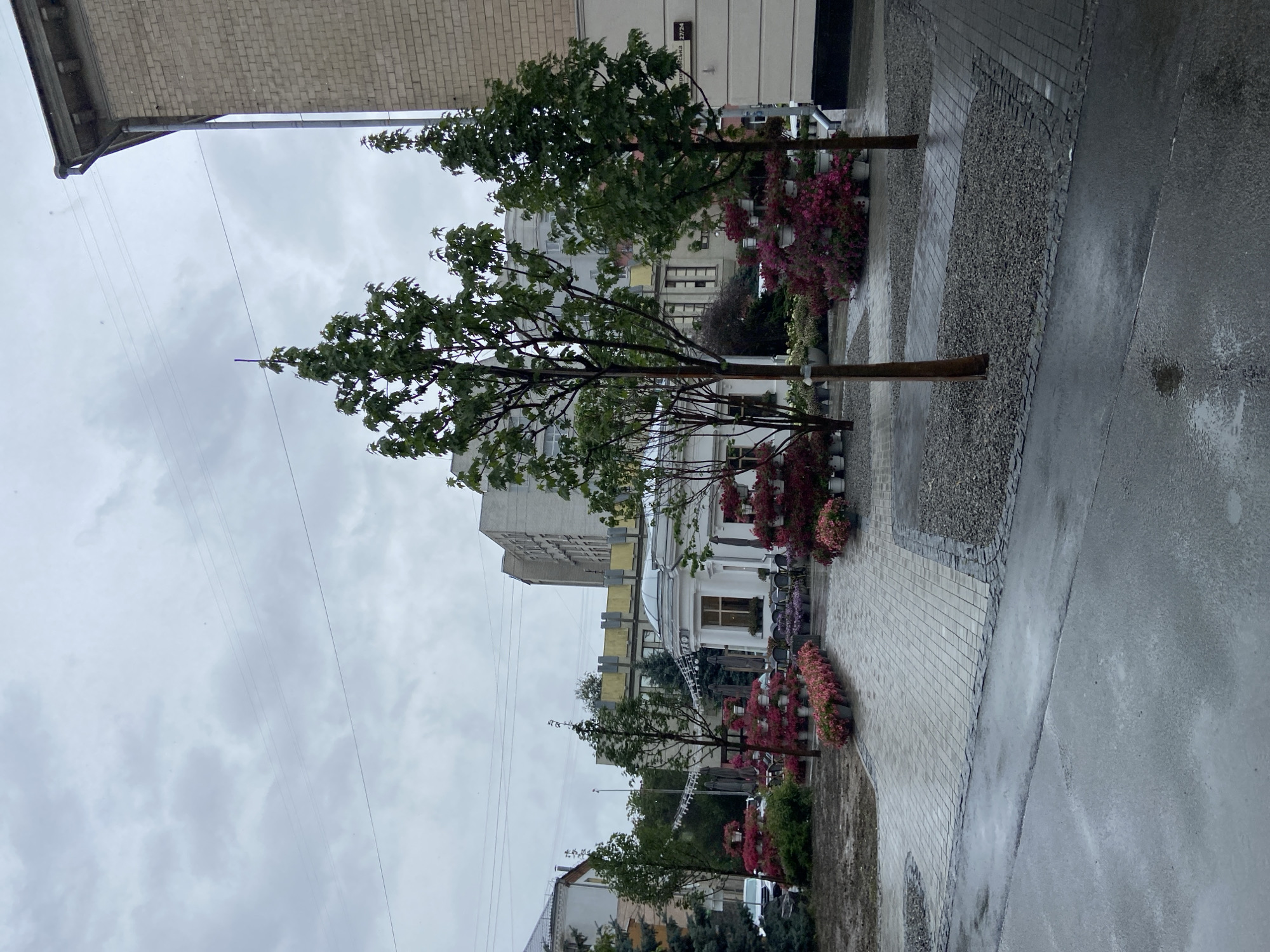 The image depicts an outdoor area with a cobblestone walkway and gravel landscaping in front of a white building with a domed roof, which appears to be a cafe or restaurant. The area is decorated with numerous potted flowers, primarily in shades of pink and red, arranged in tiered planters. Several young trees with green foliage are planted throughout the scene. In the background, a multi-story brick building and other urban structures are visible under a cloudy sky. The ground is wet, suggesting recent rain, and reflections are visible on the paved surfaces. A sign with Ukrainian text is partially visible on the brick building on the right. The scene is consistent with a public space in the city of Nyzhni Mlyny, Ukraine, likely a streetscape or plaza. There are no people visible in the image.