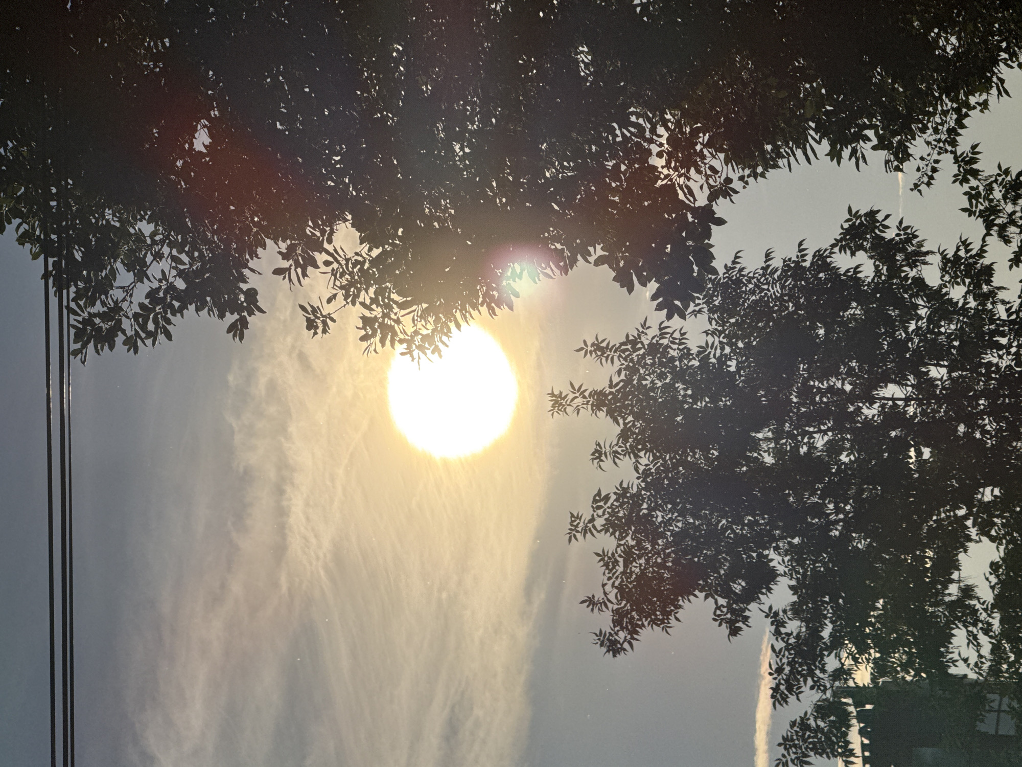 The image shows a bright sun partially obscured by the silhouette of trees. The sun is a luminous orb in a hazy sky with thin clouds. Overhead, a set of three dark horizontal lines, possibly power lines, stretches across the top of the frame. The foreground is dominated by the dark, leafy branches of trees on the right and a smaller cluster of leaves on the left. A dark, angular structure, possibly a building, is visible in silhouette at the bottom left, peeking through the leaves. The overall lighting suggests either sunrise or sunset, with a warm glow emanating from the sun. The scene appears to be outdoors in an urban or suburban environment.