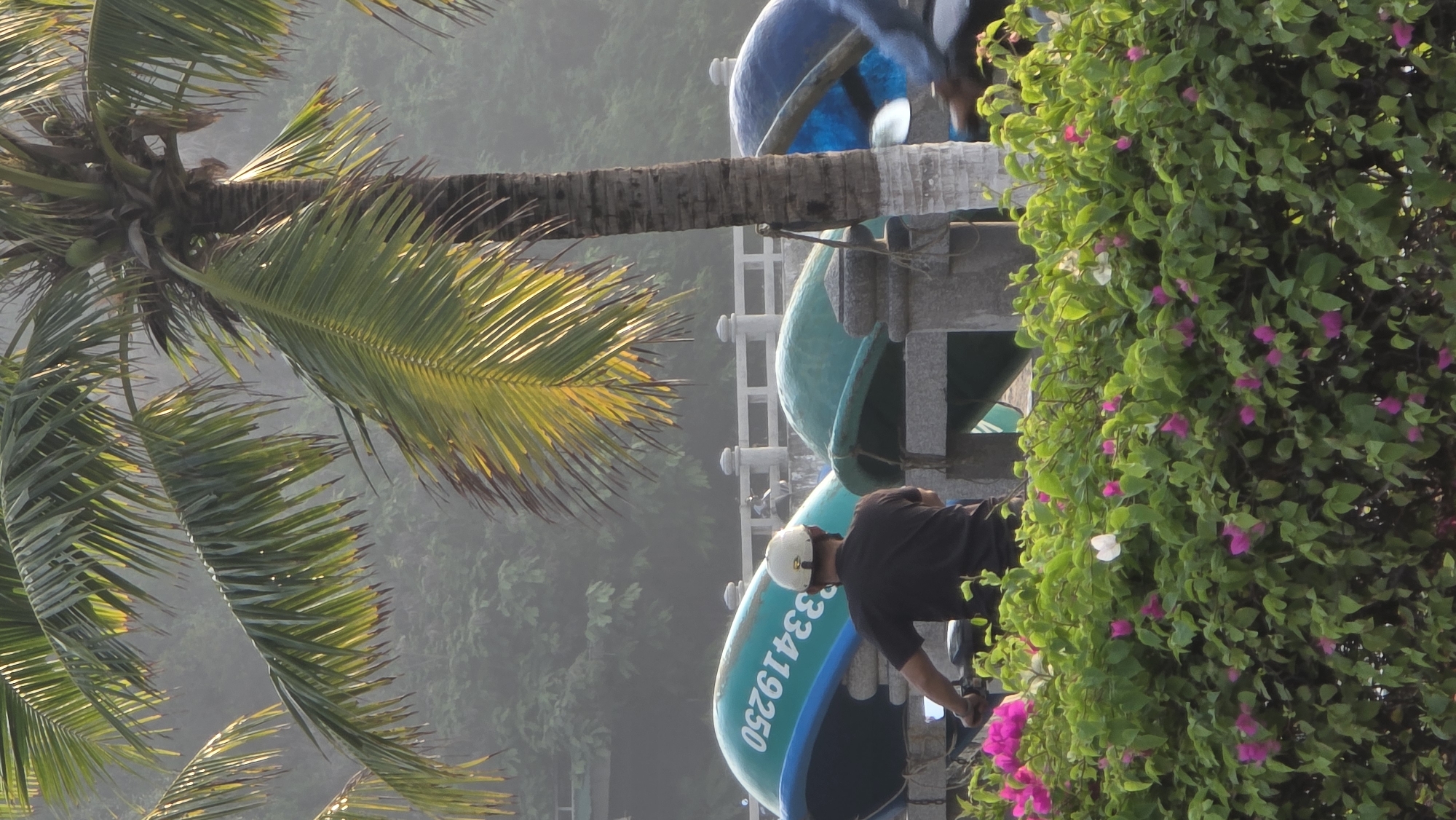 The image depicts a scene in Bắc Nha Trang, Vietnam. A palm tree is on the left side of the image. A man in a black shirt and a white helmet is standing next to a series of blue and green boats, one of which has the number "33419250" painted on it. The man is facing a bush with pink and white flowers. In the background, there is a misty, forested area.