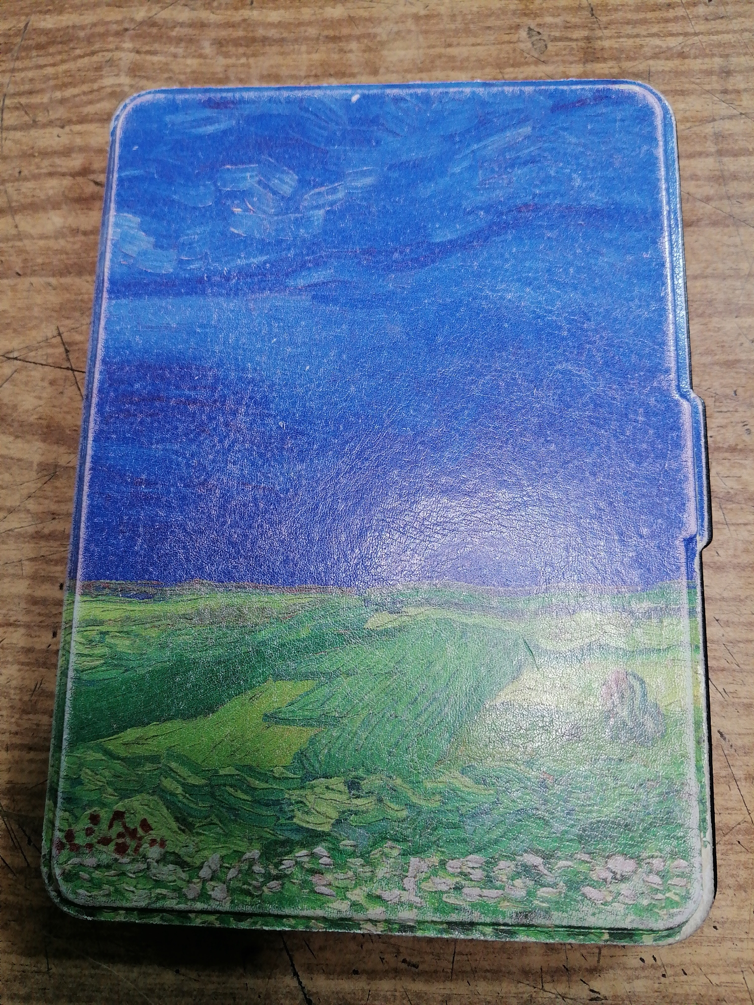 A close-up, overhead shot shows the cover of a book or tablet case that features a painting of a landscape. The painting depicts a bright blue sky with visible brushstrokes and swirling patterns, suggesting a dynamic cloud formation. Below the sky is a rolling green field, rendered with textured brushwork that gives the impression of undulating hills and foliage. In the foreground, a band of small, white and pink flowers is visible along the bottom edge of the cover. The case is placed on a wooden surface with a visible grain pattern. The image is a still life and does not contain any people or actions. The location is not ascertainable from the image itself.