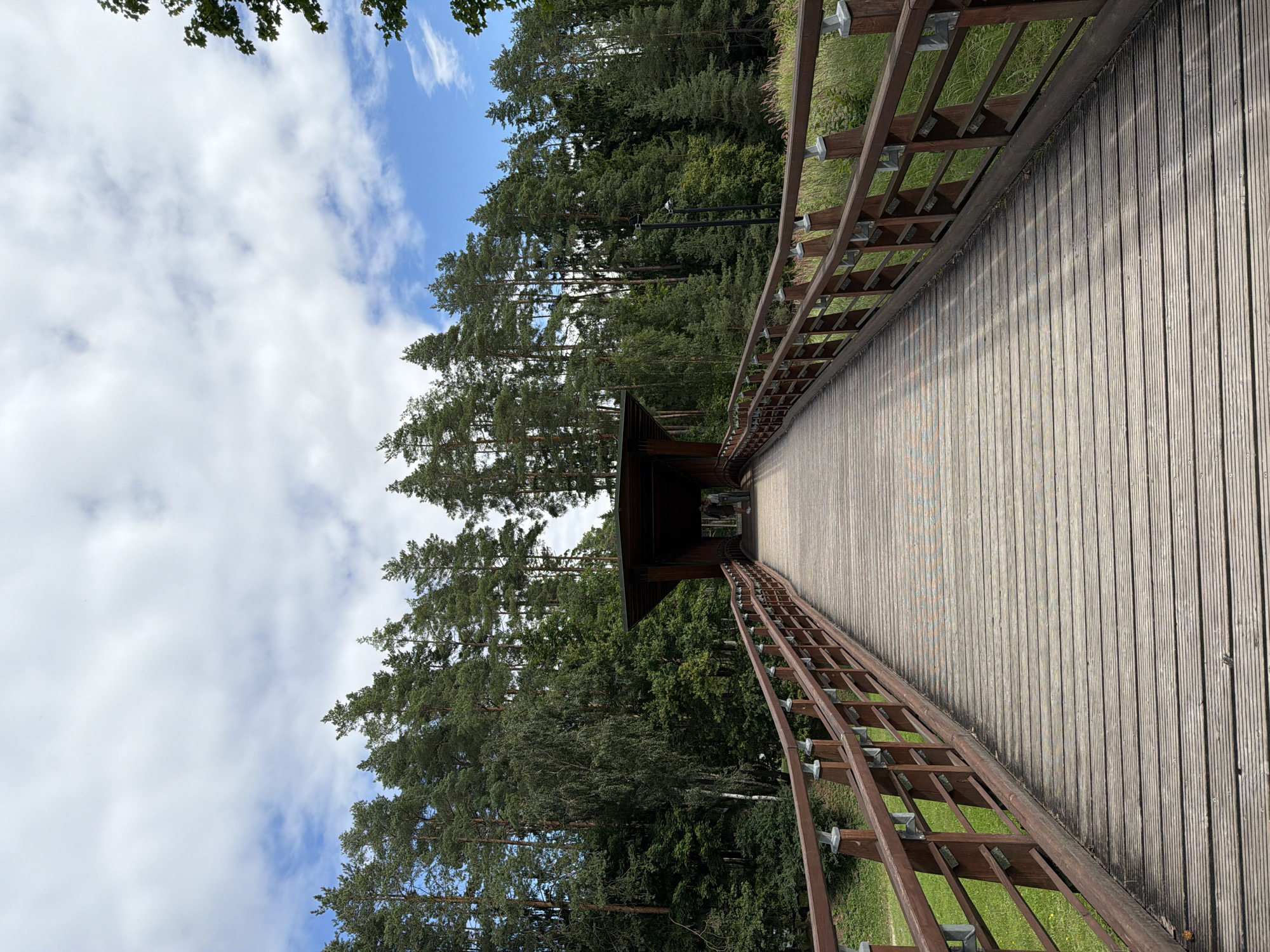 A wooden bridge arches across a grassy area, leading towards a covered section in the distance. The bridge has wooden railings with metal supports. Tall pine trees and other deciduous trees line the sides of the bridge, creating a dense forest backdrop. The sky is partly cloudy with patches of blue. Two figures are visible standing inside the covered section of the bridge. The location is Sils, Latvia.
