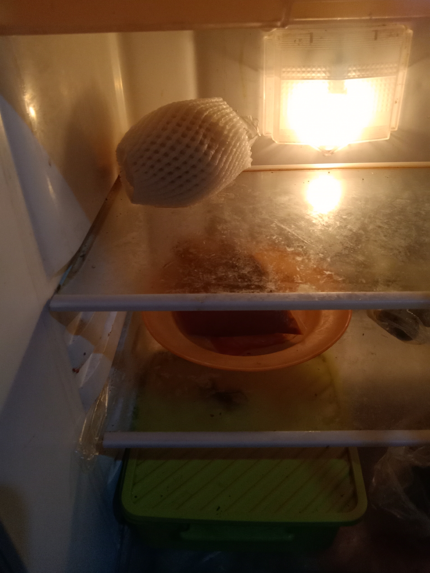 The image shows the interior of a refrigerator. A single fruit, possibly a pear or apple, wrapped in white foam netting, is positioned on the top shelf to the left. A bright light source, likely the refrigerator's internal light, illuminates the scene from the top right. Below the top shelf, a glass shelf is visible, with some smudges and debris. On this shelf, an orange plastic bowl contains some reddish-brown items, the nature of which is unclear. To the right of the bowl, there appears to be a plastic bag. The bottom shelf of the refrigerator holds a green plastic container. The refrigerator's interior walls are visible on the left and back. There are no people or animals present in the image. The overall impression is of a sparsely populated and somewhat cluttered refrigerator. The location of Jumput, Indonesia is not visually represented in the image.