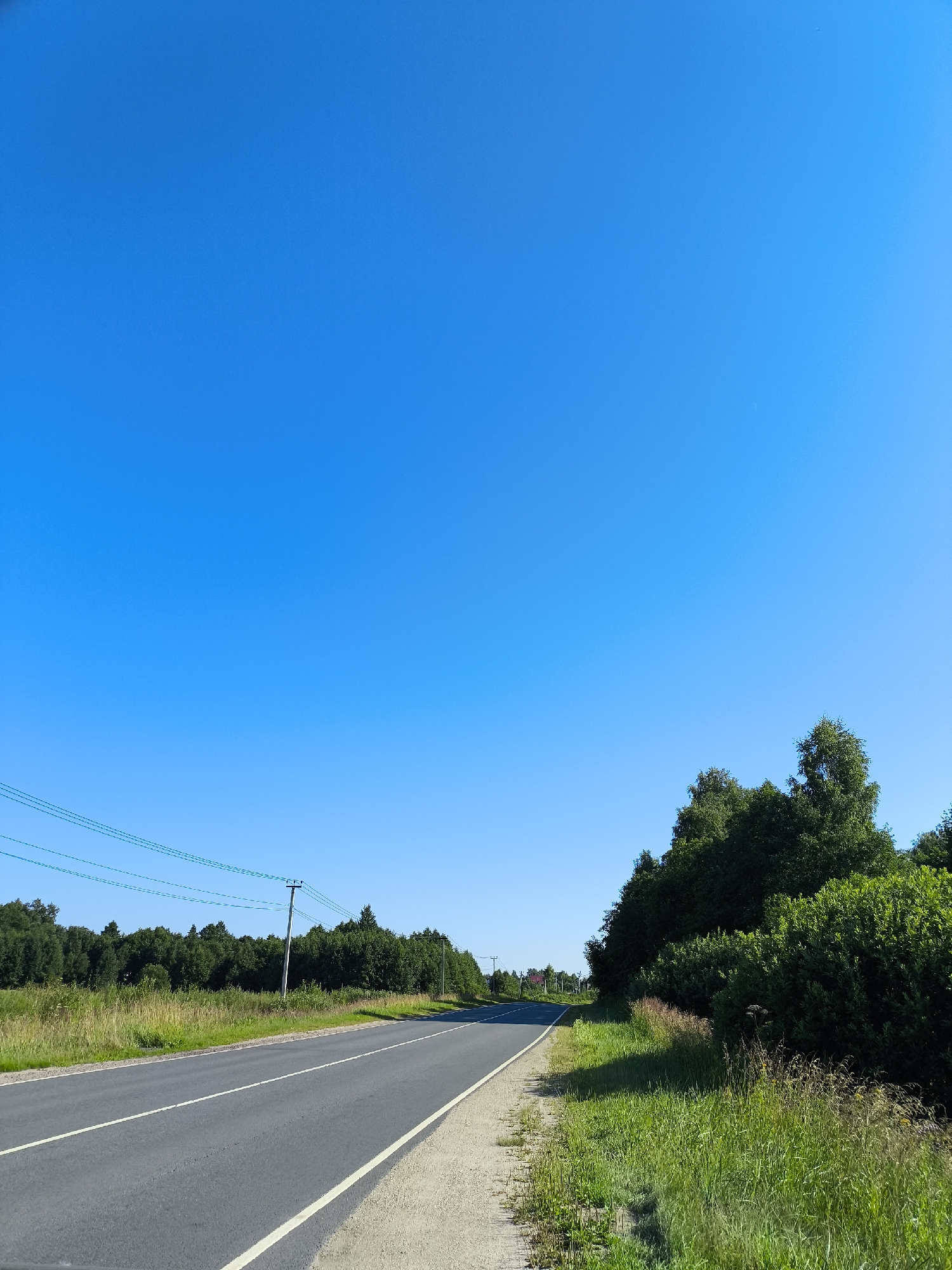 A clear, cloudless blue sky dominates the upper portion of the image. A two-lane asphalt road with white dividing lines curves into the distance from the lower left corner. To the left of the road, a field of dry grass and scattered green vegetation extends towards a dense line of trees. A telephone pole with multiple wires is visible in the distance, also on the left side of the road. The right side of the road features a shoulder of gravel and dirt, followed by a dense, lush green hedge and taller trees. The overall scene depicts a rural or suburban roadside on a sunny day.