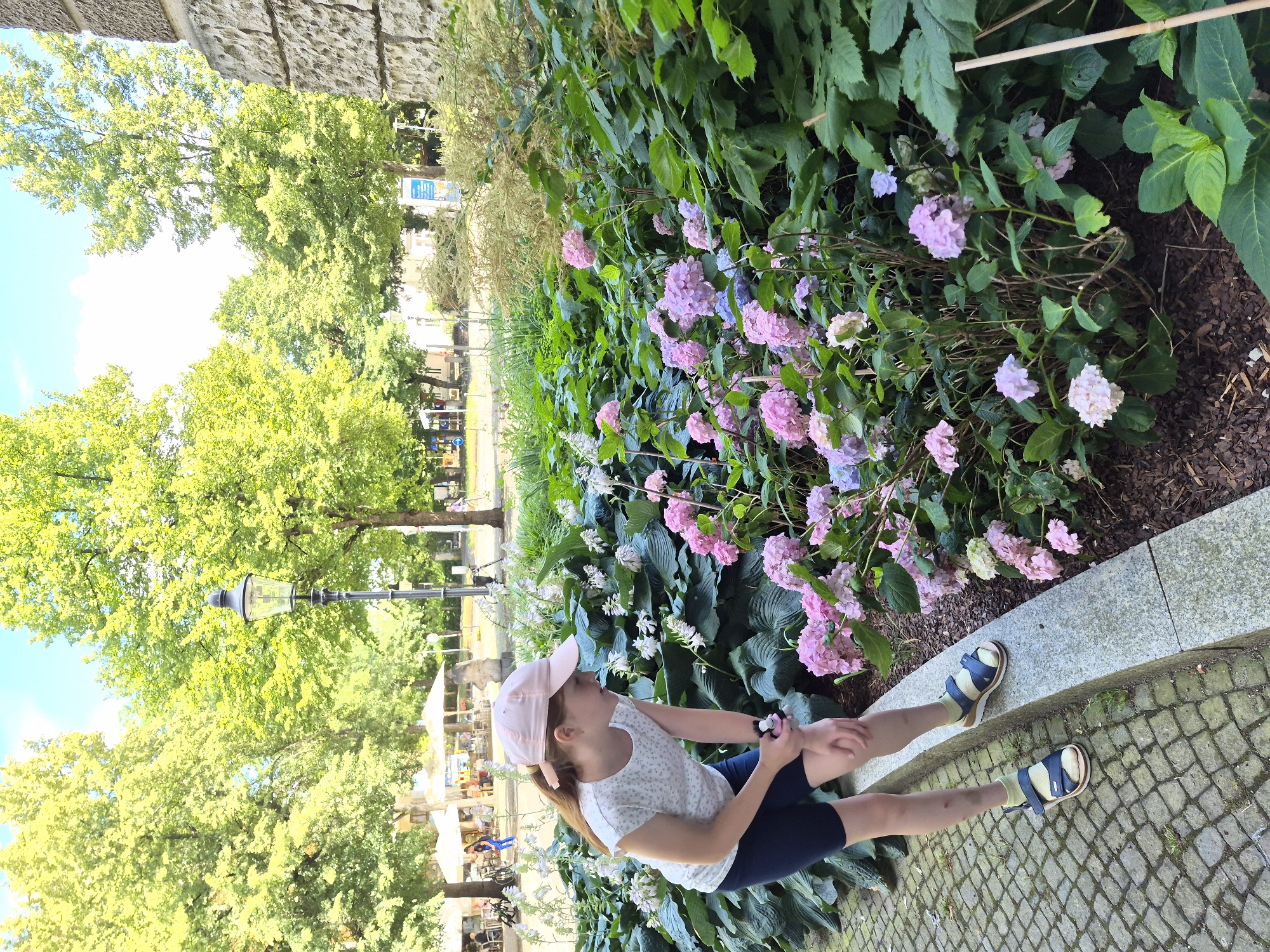 A young girl wearing a pink baseball cap and a light-colored, short-sleeved shirt with a subtle pattern is sitting on a concrete ledge. She has on dark navy shorts and light green socks with dark blue sandals. Her legs are extended in front of her, and she is looking off to the side.
She is situated in a garden setting with abundant greenery and blooming pink and purple hydrangeas. The girl is positioned to the right of the frame, with the flowers and foliage occupying a significant portion of the image. Behind the girl and the garden, a paved walkway with cobblestones is visible.
In the background, there are trees with lush green leaves, and further beyond, buildings and a lamppost can be seen. The scene appears to be outdoors during the daytime, likely a sunny day given the brightness and the shadows. The overall mood seems relaxed and peaceful. The location context of Brunswick, Germany, suggests an urban park or garden area. No visible text is present in the image.