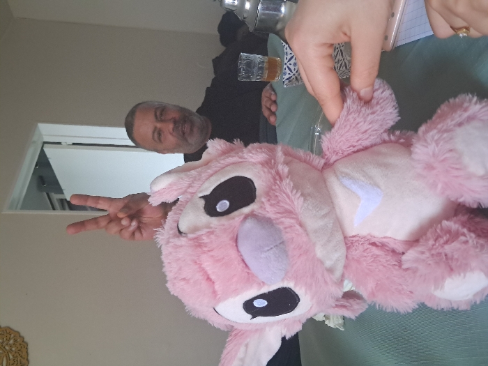 The image depicts an indoor domestic setting in Unknown, Unknown, likely a dining area or living room. A large pink plush toy, resembling the character Angel from Disney's Lilo & Stitch, is centrally positioned on a light green tablecloth. The toy has prominent black eyes, a light purple nose, and a white chevron on its chest. Behind the toy, a middle-aged male with grey hair and a beard, wearing a dark shirt, is seated. He extends his right hand above the toy, forming a two-finger 'V' gesture, and looks directly forward. To the right of the toy, a hand, wearing a gold-colored ring on the fourth finger, is touching the toy's left arm. On the table, to the right of the male, a clear glass containing an amber liquid rests on a patterned dish, accompanied by a silver teapot and a smaller patterned container. A piece of paper and a light-colored mobile device are partially visible near the foreground hand. The background reveals a plain light-colored wall with an ornate golden wall hanging on the upper left and an open doorway on the right.