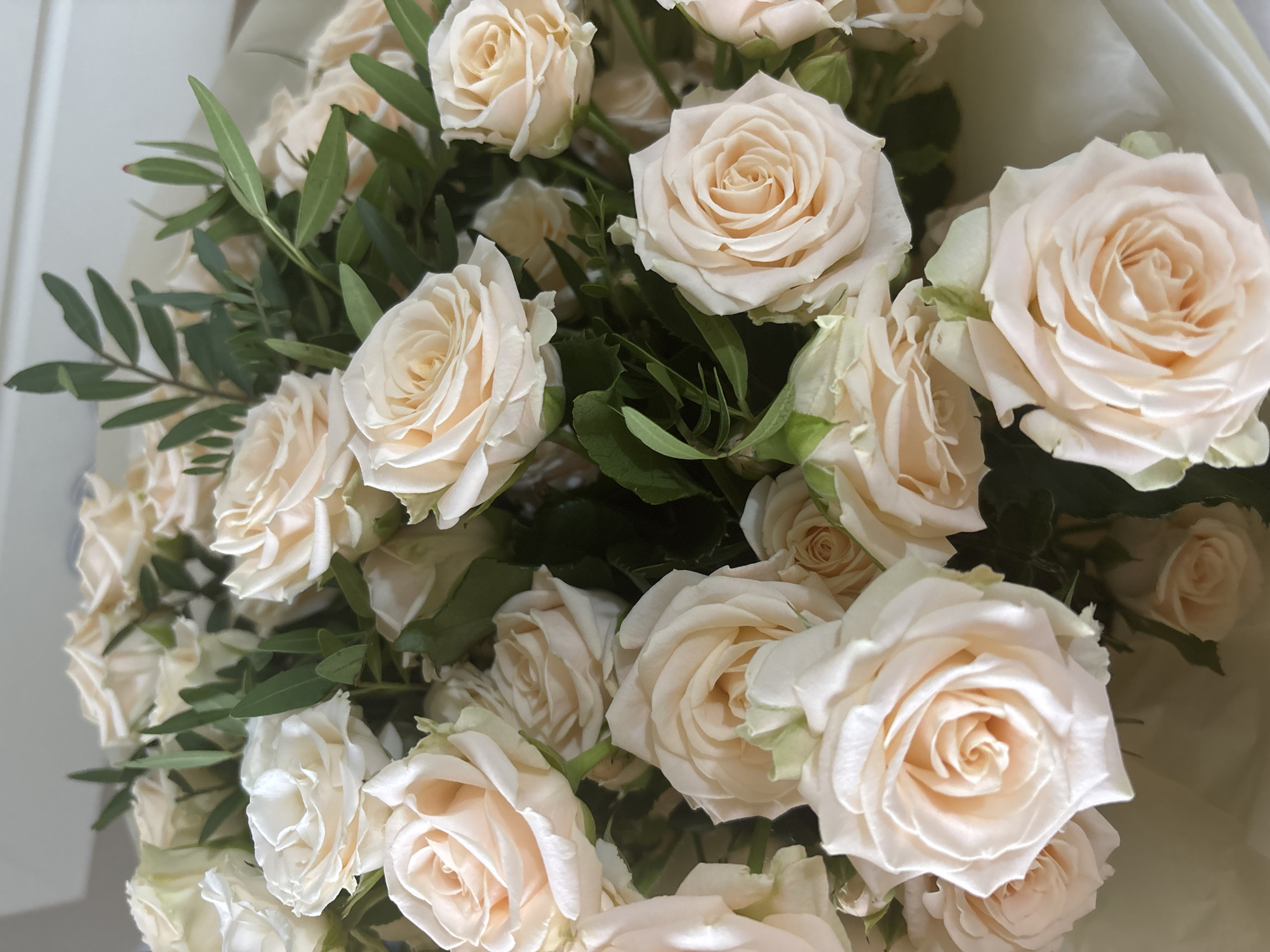 A bouquet of light peach-colored roses with green leaves is presented in a close-up shot. The roses are tightly bunched together, filling the frame. The scene is well-lit. There is no evidence to associate the bouquet with Sochi, Russia.