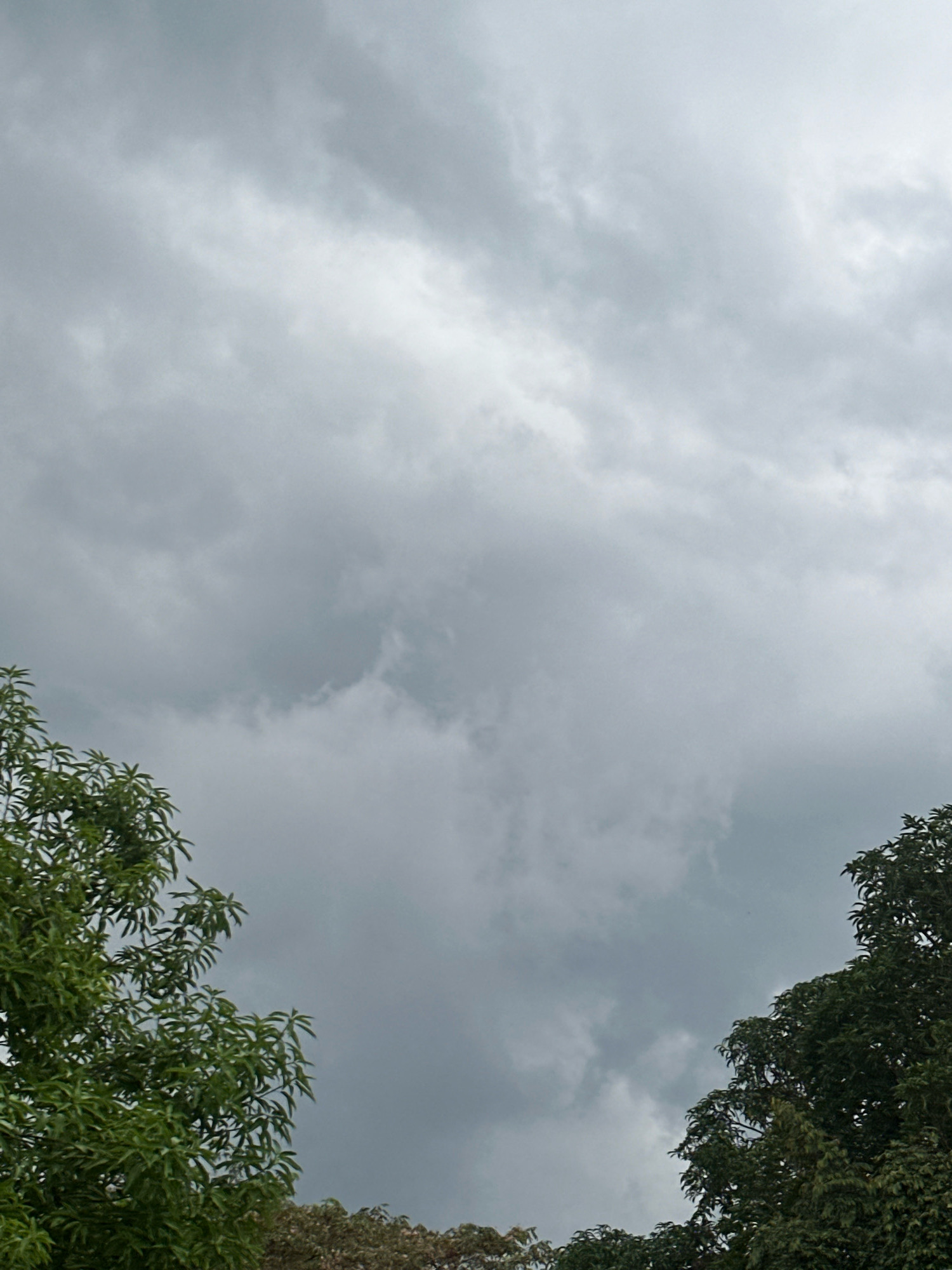 The image shows a cloudy sky over Lianga, Philippines. Two trees are visible in the foreground, one on the left and one on the right, with lush green foliage. The sky is filled with overcast, gray clouds, suggesting an impending rain or a generally gloomy weather condition. No people or any specific structures or landmarks of Lianga are discernible in the image, focusing solely on the natural elements of trees and sky.