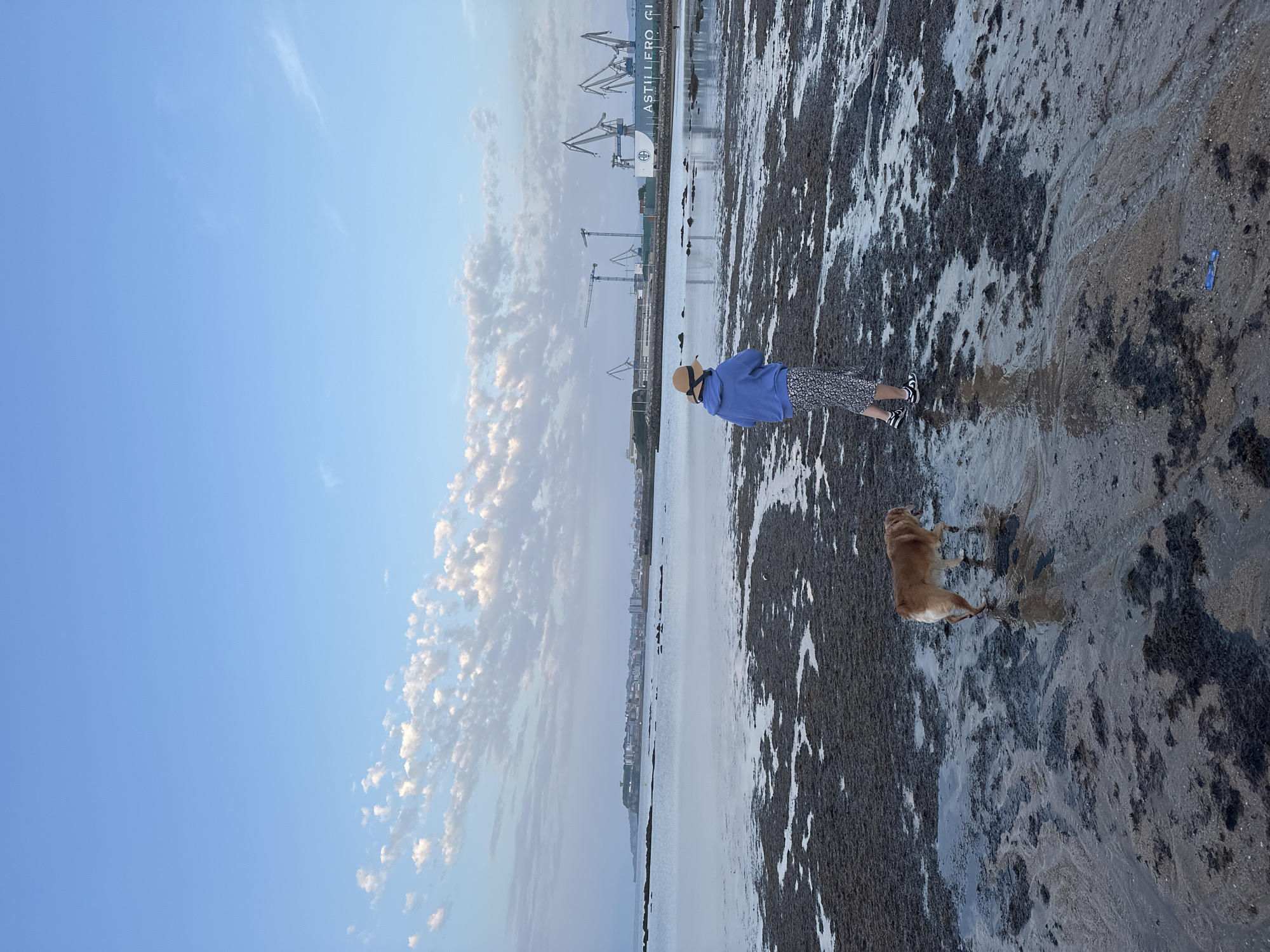 A horizontal, landscape-oriented photograph shows a person and a dog on a beach. The image appears to be taken in Gijón/Xixón, Spain, evidenced by the presence of the Astillero Gijón shipyards in the background.
The beach consists of sand and mud flats interspersed with shallow pools of water. The person is seen from the back, wearing a blue jacket, patterned skirt or shorts, and black-and-white striped shoes. The person is also wearing a hat. The dog, light brown in color, stands near the person.
In the distance, across the water, is the shoreline of the city. The sky is blue, with fluffy white clouds. The Astillero Gijón shipyards are visible in the right side of the background, featuring cranes and industrial structures.
