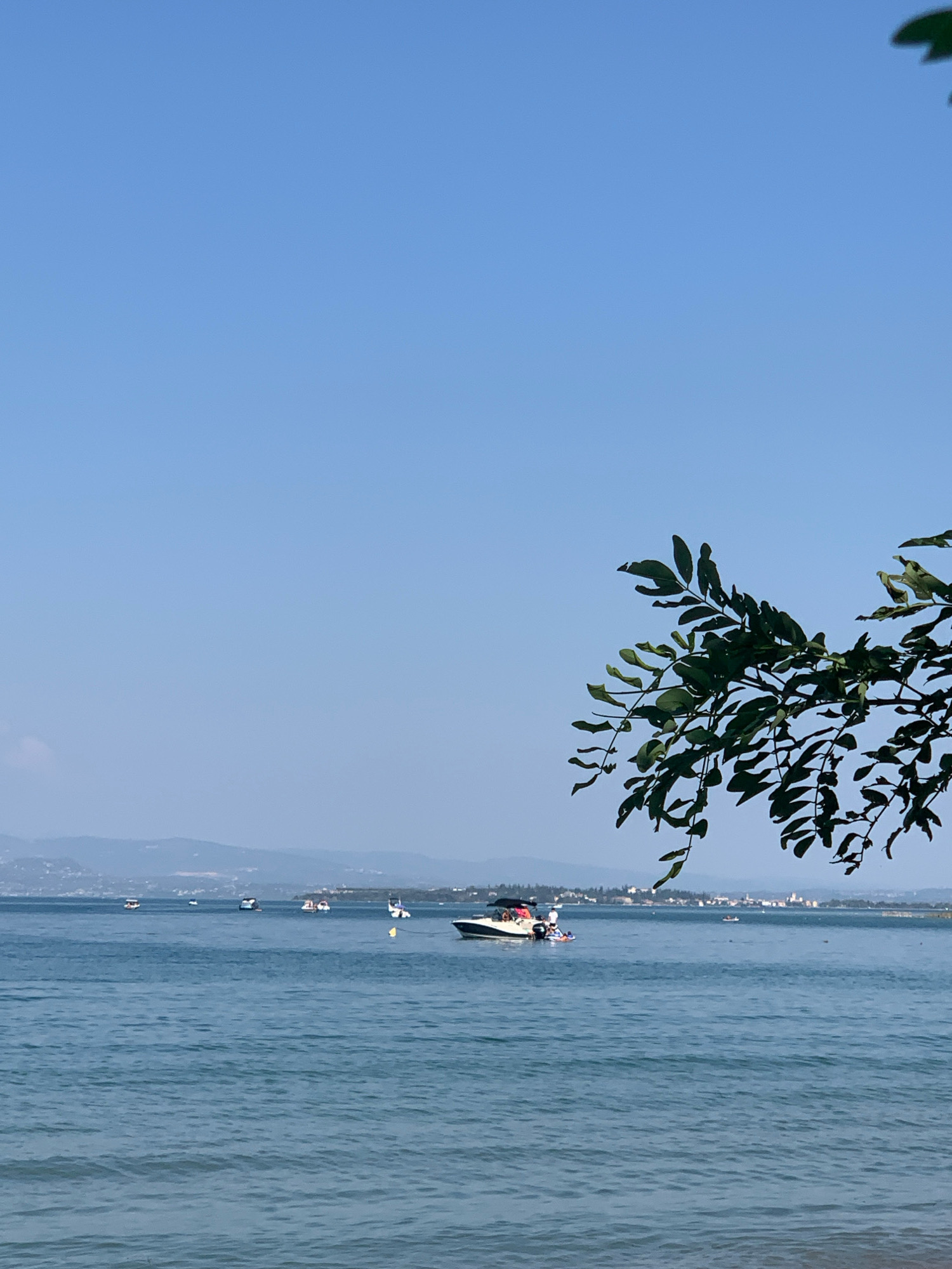 A calm, bright day at Padenghe sul Garda, Italy. The scene is dominated by a clear blue sky and a wide expanse of rippling blue water. In the distance, a hazy, mountainous coastline is visible, dotted with buildings suggesting a town or city. Several small boats are scattered across the water, some appearing to be speedboats with occupants, while others are smaller and stationary. The foreground is partially obscured by the dark green leaves and branches of a tree, casting a natural frame over the seascape. The overall impression is one of tranquility and leisure on a sunny day by the lake.