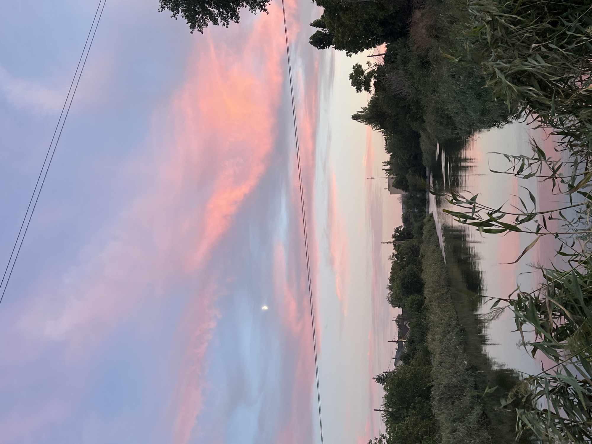 This is a photograph taken in Kryvyi Rih, Ukraine, capturing a serene natural scene during what appears to be dusk or dawn. The sky is a prominent feature, filled with soft pink and blue clouds, with a crescent moon visible in the upper left quadrant. Two dark power lines stretch horizontally across the sky. Below the sky, a river flows from the distance towards the foreground, its surface reflecting the colors of the sky. The banks of the river are lined with lush green reeds and trees, with some vegetation encroaching into the foreground. In the background, houses and trees are visible, suggesting a semi-rural or suburban setting on the outskirts of the city. The overall impression is one of tranquility and natural beauty.