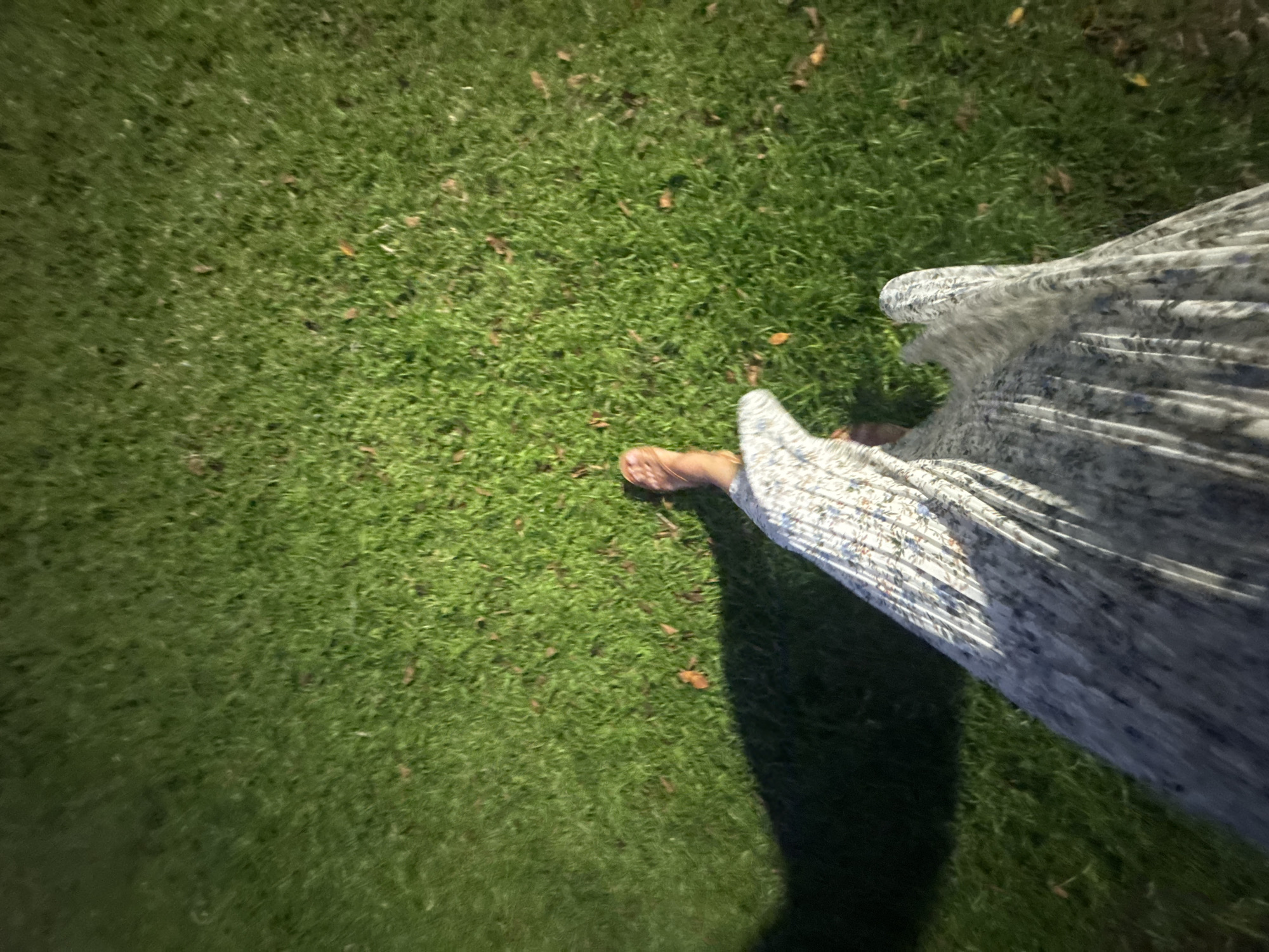 A person, seen from a high-angle perspective looking down, walks across a green grassy lawn. The person's bare feet are visible, as is a long, flowing dress patterned with small blue and white flowers. The dress casts a long shadow to the left of the frame, indicating the sun is low in the sky. The grass is well-maintained and appears to be in a park or backyard setting. The image's composition, with the subject positioned in the lower right quadrant and the shadow extending towards the left, suggests movement from right to left across the frame. The overall impression is one of a serene, sunlit outdoor activity. This scene could be located in a public park within Bat Yam, Israel, such as Park HaMegaon or Park HaNe'eman, or a private garden in a residential area of the city.