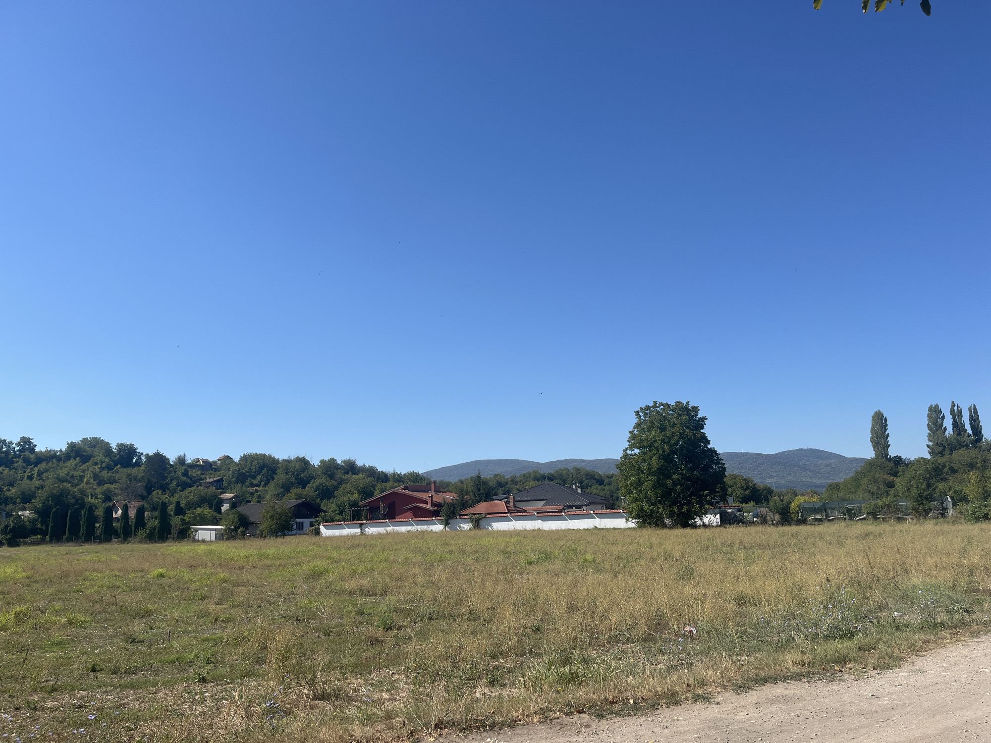 The image depicts a rural landscape under a clear blue sky. In the foreground, a dry, grassy field occupies most of the frame, with a dirt road visible at the bottom right. In the middle ground, several houses with red and dark-tiled roofs are situated behind a white wall. These houses are surrounded by trees, with some taller, slender trees standing out among them. A large, leafy tree is prominent on the right side of the middle ground. In the background, a line of green hills stretches across the horizon, topped by a few scattered buildings and trees. The overall scene suggests a peaceful, sunny day in a village setting. Based on the context provided, this location is in the city of Targovishte, Bulgaria. There are no people visible in the image.