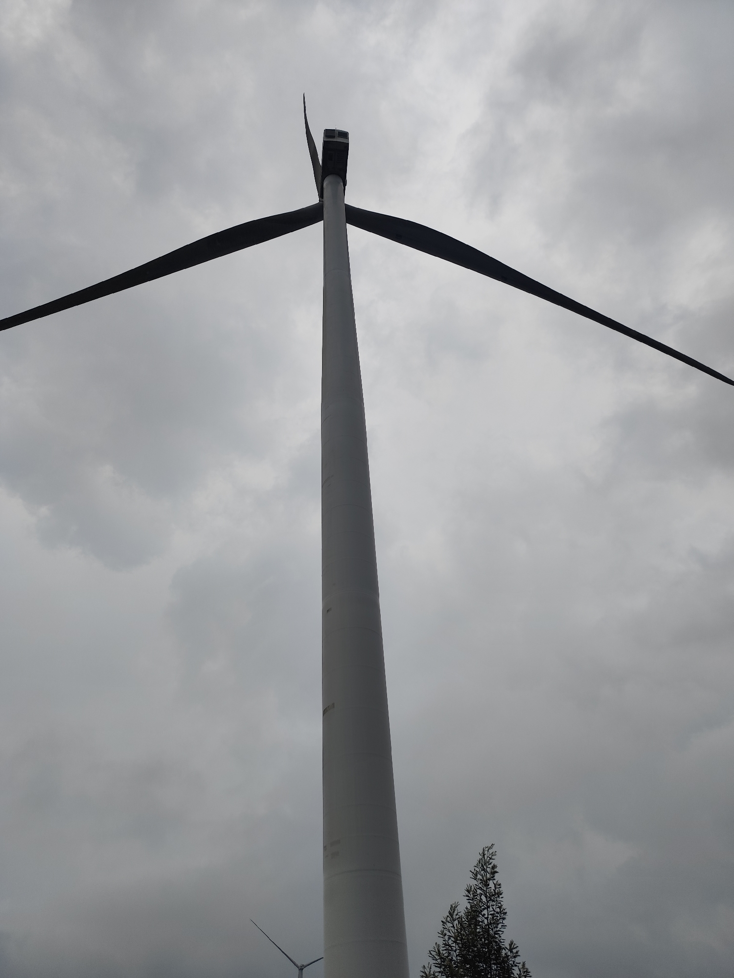 A low-angle shot of a tall wind turbine under a cloudy sky. The turbine is white, with three large black blades. One blade points to the left, one to the right, and the third points straight up. A small tree is visible near the base of the turbine. Another smaller turbine is visible far in the distance to the left of the turbine. The sky is overcast, with gray clouds. The image is taken in Trường Thọ, Vietnam.