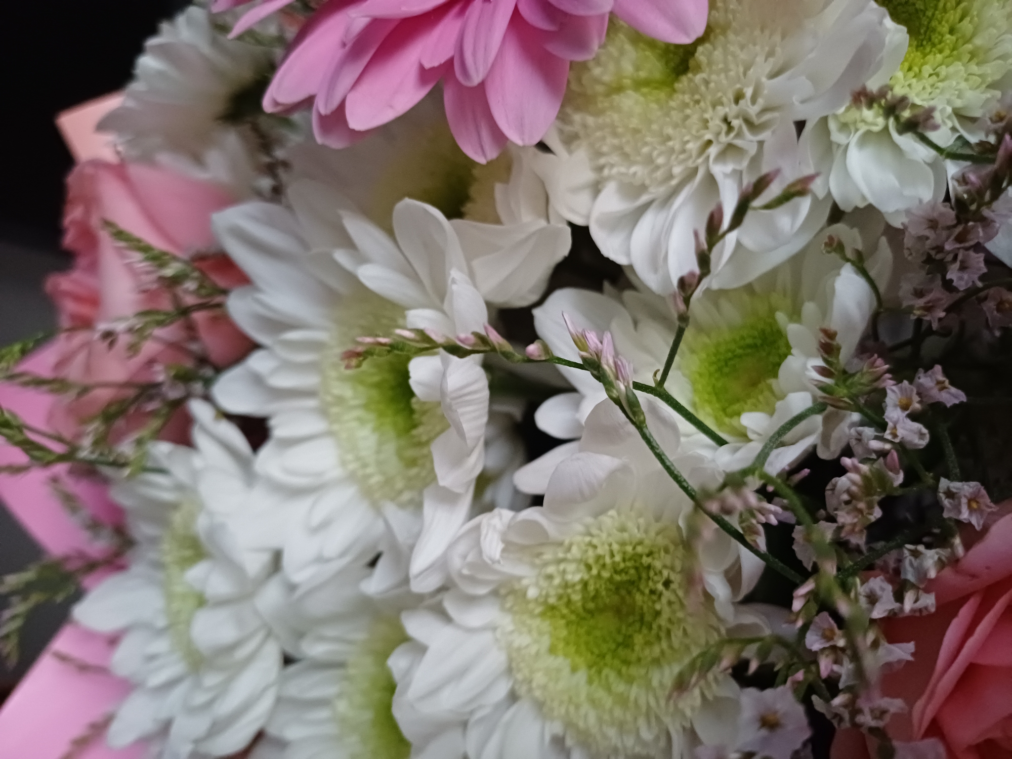 The image shows a close-up view of a bouquet of flowers, predominantly white chrysanthemums with bright green centers. There are also hints of pink flowers, possibly roses or gerberas, and delicate sprigs of small, pale pink flowers with thin green stems. The background is dark and out of focus, suggesting a shallow depth of field. The lighting appears soft, highlighting the textures of the petals and creating subtle shadows. The image is framed tightly, focusing entirely on the floral arrangement.