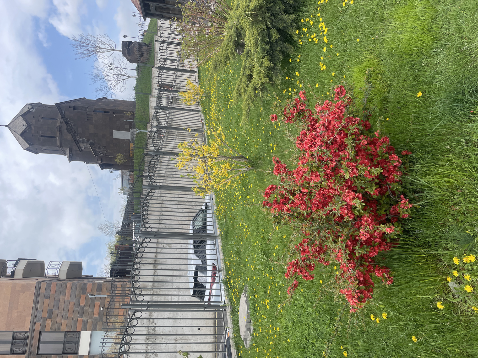 The image depicts a street-level view in Yerevan, Armenia, with a focus on the architectural and natural elements. In the background, there is a stone church with a pointed spire rising above a metal fence. Adjacent to the church, there is a simple memorial stone. In the foreground, a vibrant scene unfolds on a grassy area dotted with yellow dandelions. A large bush with red blossoms stands prominently in the foreground. Behind this bush, there is a smaller tree with yellow blossoms. A modern brick building can be seen to the left of the frame. Cars are parked behind a wrought-iron fence. The sky is overcast with scattered clouds.