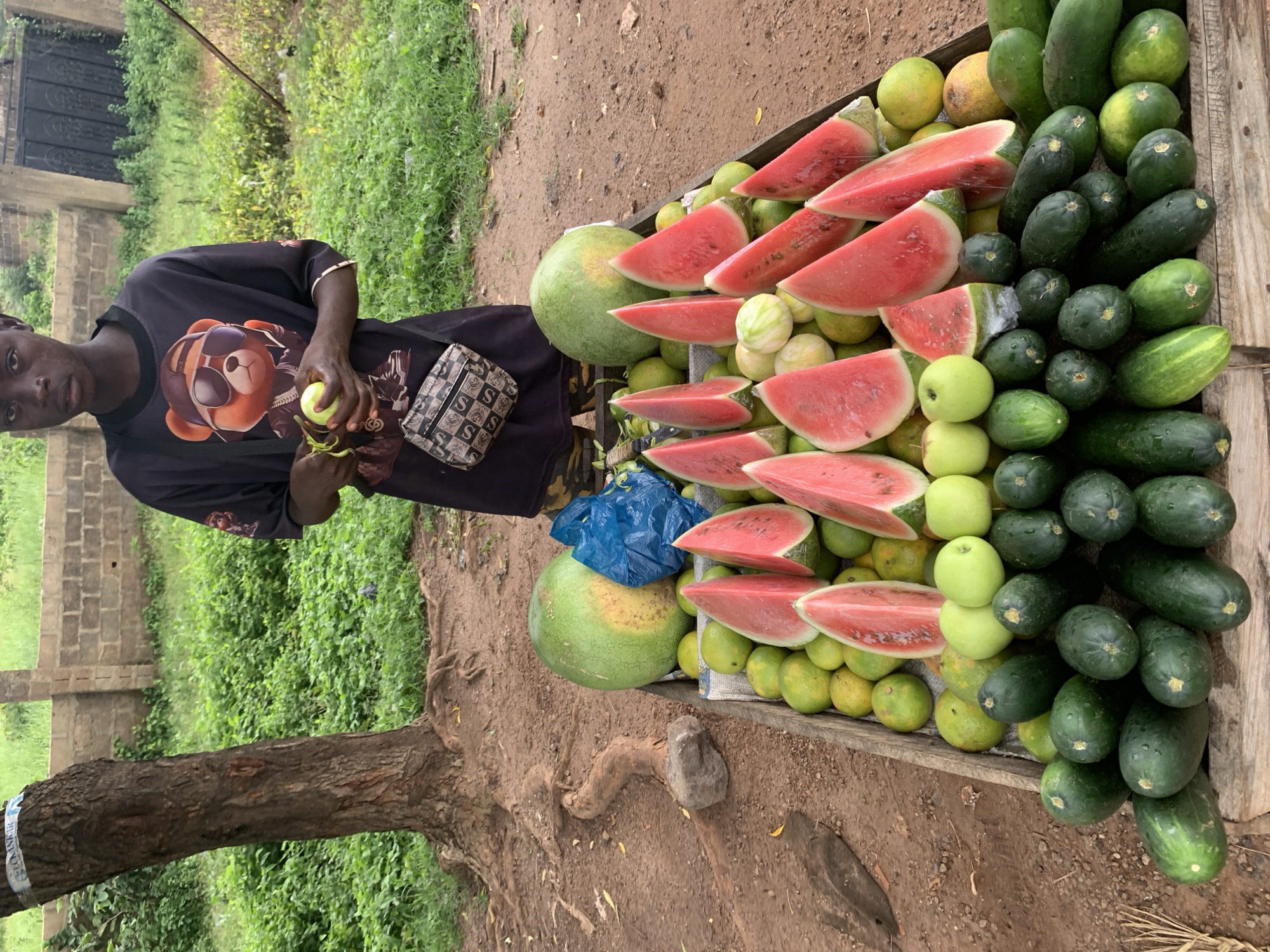A young boy stands behind a fruit stand in Gbeleko, Nigeria, holding a green apple. The stand is laden with various fruits and vegetables, including watermelons, oranges, green apples, and cucumbers. The background shows a dirt path, lush green vegetation, and a brick wall with a black metal gate. The boy is wearing a black t-shirt with a graphic print of a bear wearing sunglasses and a necklace. He also has a small crossbody bag with a patterned design. The image captures a street scene in a Nigerian city, likely depicting a vendor selling fresh produce.