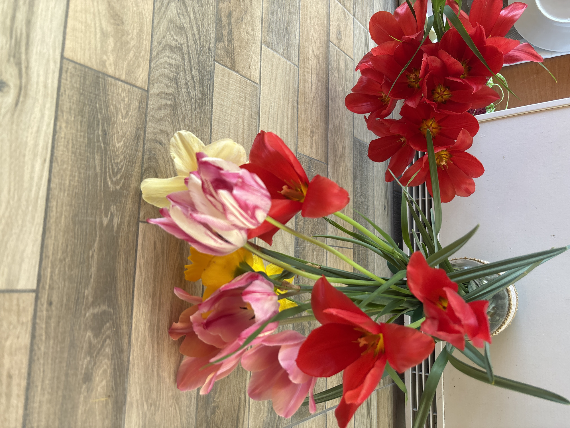 The image depicts a bouquet of tulips in various colors (red, pink, yellow, and a striped pink and white variety) arranged in a vase. The vase appears to be sitting on a white surface, possibly a radiator cover or countertop, adjacent to a light brown wood-patterned surface. The scene is indoors. There is no indication of the city of Zlatograd, Bulgaria, or any recognizable landmarks in the image. The scene is a simple, still-life arrangement of flowers.