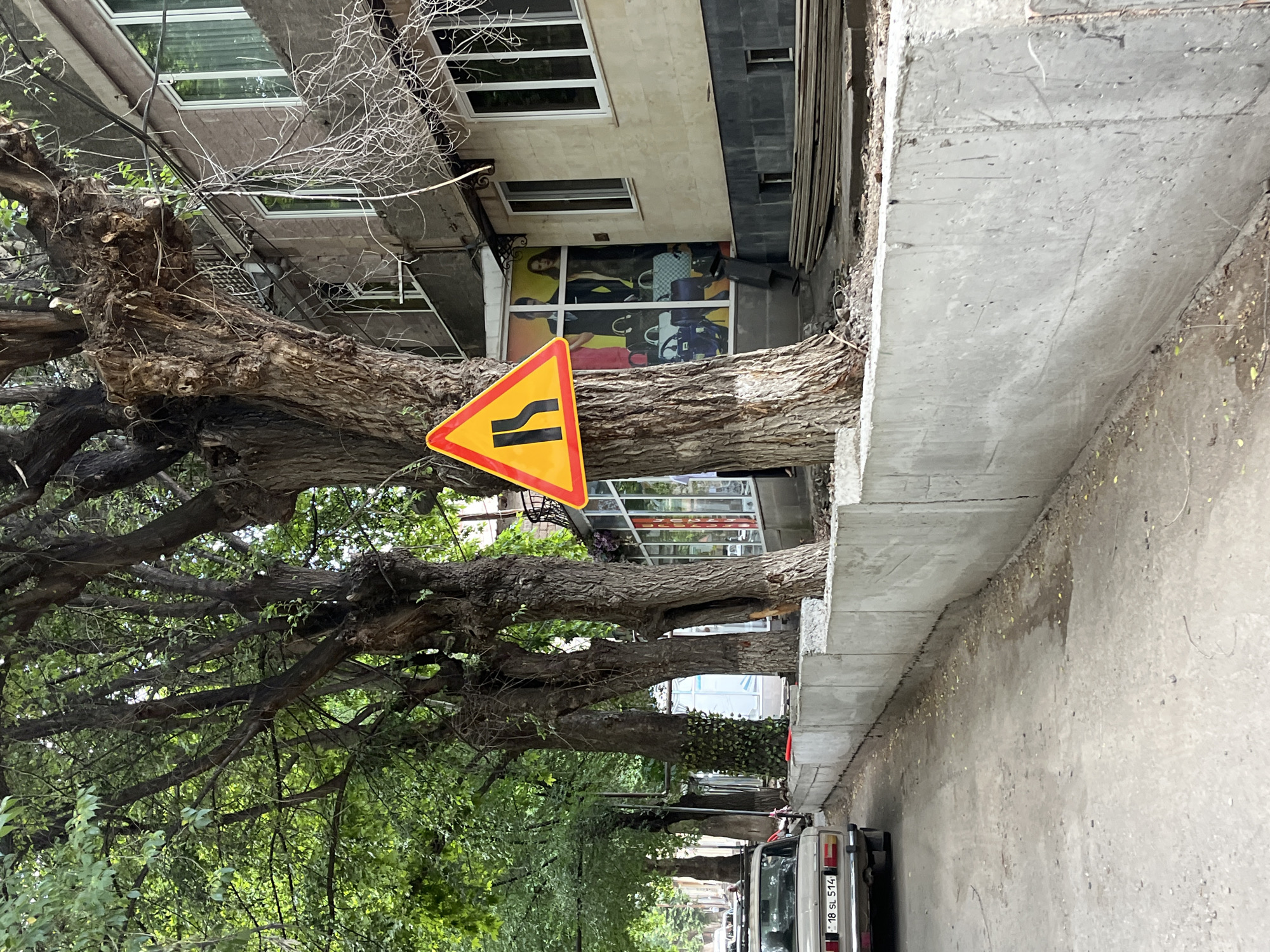 This image depicts a street scene in Yeghegnadzor, Armenia, focusing on a traffic sign and its surroundings. A triangular traffic sign with a yellow background and a red border, featuring black symbols of converging lanes, is prominently displayed, attached to the trunk of a mature tree. The sign indicates a narrowing of the road ahead.
The tree itself is substantial, with a thick, gnarled trunk that appears to have grown around the sign. The tree's branches extend upwards and outwards, partially obscuring the facade of a building behind it. This building, made of light-colored stucco, has several windows with white frames. A storefront on the ground floor displays advertising images of people and fashion accessories, including handbags.
In the foreground, a light-colored sedan is parked on the left side of the asphalt road, its rear visible. The license plate is partially obscured but shows "18 SL 514". A low, rough-textured concrete wall runs along the right side of the road, separating it from the area where the trees and building are situated. The ground is a mix of asphalt and dirt, with scattered leaves. The overall environment suggests an urban setting with established trees lining the street, adjacent to commercial and residential buildings.