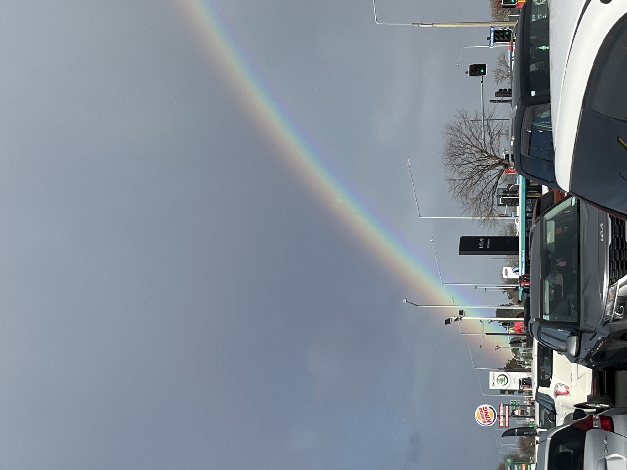 This image captures a partially visible rainbow arching across a grey, overcast sky above a traffic jam on Manchester Street in Christchurch, New Zealand. The foreground is dominated by the roofs and windshields of several vehicles, including a dark grey SUV, a white SUV, and the rear of a white vehicle. In the mid-ground, a bus is visible, along with traffic lights and street lamps. Further back, commercial signage for Burger King and Kia are present, as well as a bare-branched deciduous tree. The overall scene suggests a typical urban environment during or immediately after a period of rain, with the rainbow offering a striking natural spectacle against the mundane backdrop of city traffic.