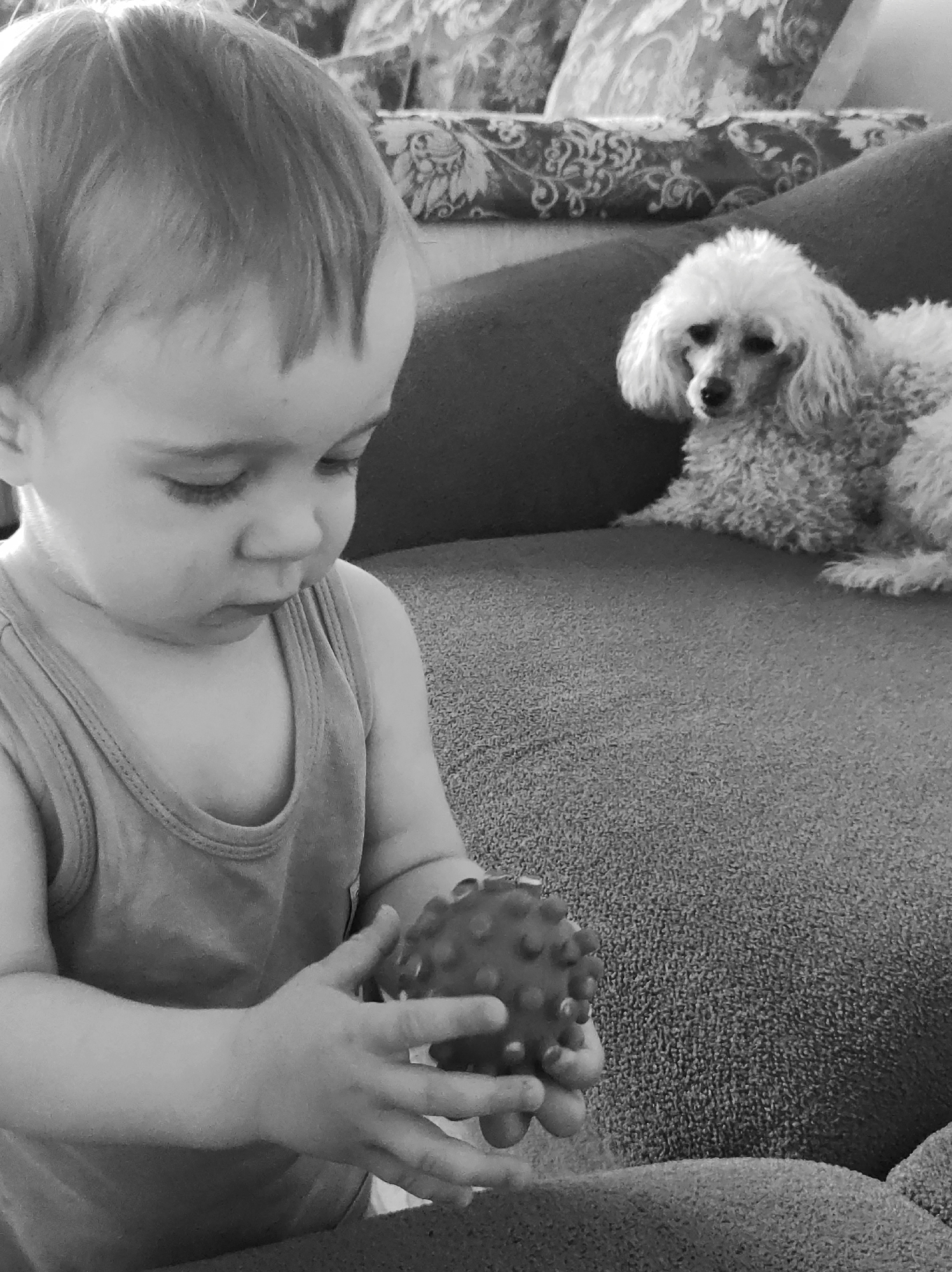 A black and white photograph captures a young child engrossed in playing with a spiky ball, while a fluffy poodle observes from the background. The child is wearing a tank top. Both the child and the dog are situated on what appears to be a textured couch or sofa. Pillows are visible behind the dog. The image's location is unknown.