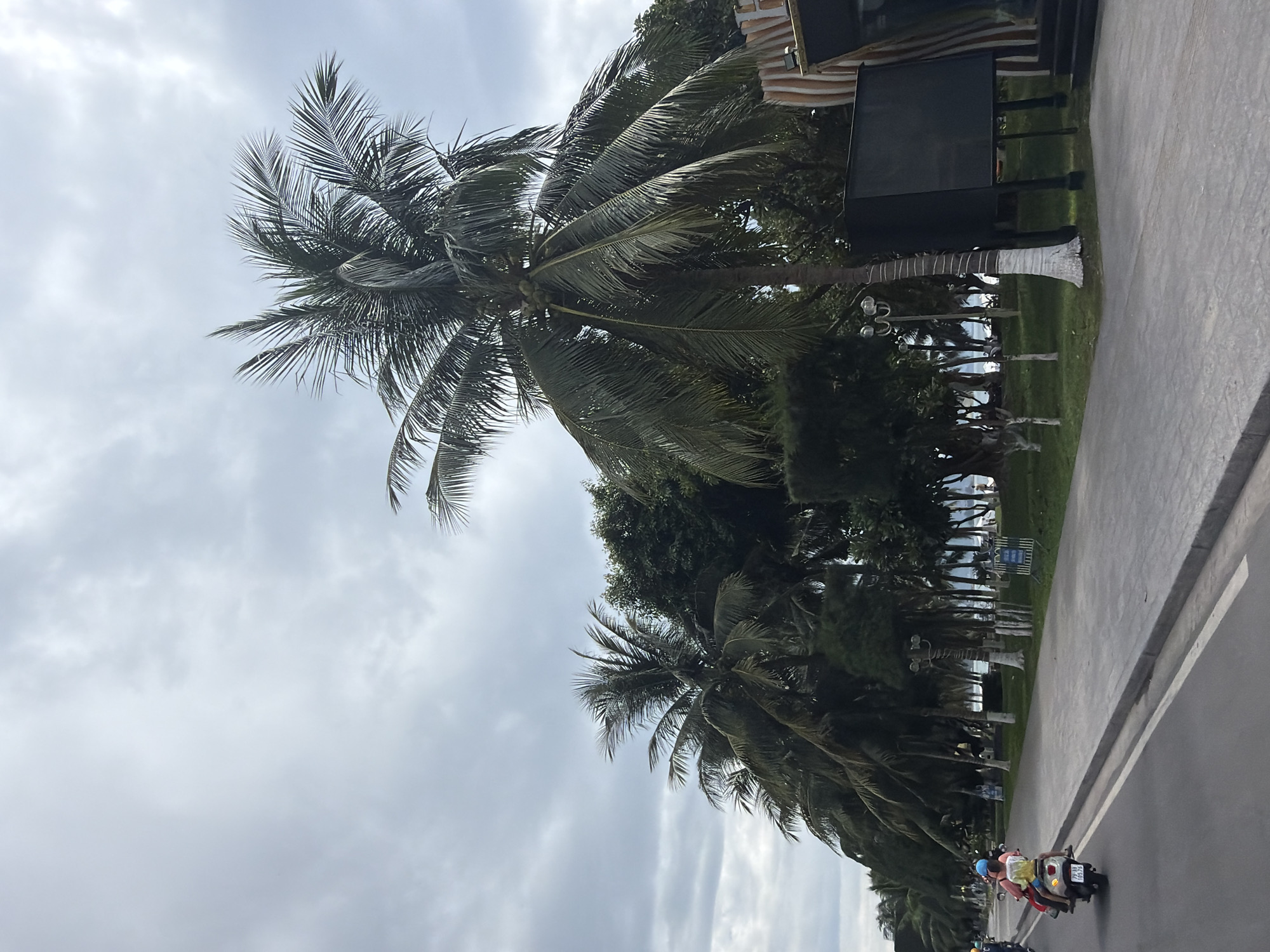 The image depicts a street scene in Nha Trang, Vietnam, likely along the beachfront. The sky is overcast with dense gray clouds, indicating a cloudy or potentially rainy day. In the foreground, a gray asphalt road runs from left to right, with a white line marking the lane division. To the right of the road is a paved walkway. Beyond the walkway, a strip of green grass is lined with palm trees and other foliage. In the background, the ocean is visible, with a beach area. Several people are present on the beach and in the distance.
On the road, a scooter is traveling from left to right. The scooter is carrying two individuals, a person in the front wearing a blue helmet and a yellow shirt, and a person behind them wearing a white shirt and a blue helmet. The scooter has a license plate with Vietnamese characters and numbers.
Further along the walkway, there are streetlights and a large black board standing on legs, possibly an advertisement or information display. Some of the palm trees have their trunks painted white at the base. The overall atmosphere suggests a tropical coastal city environment.