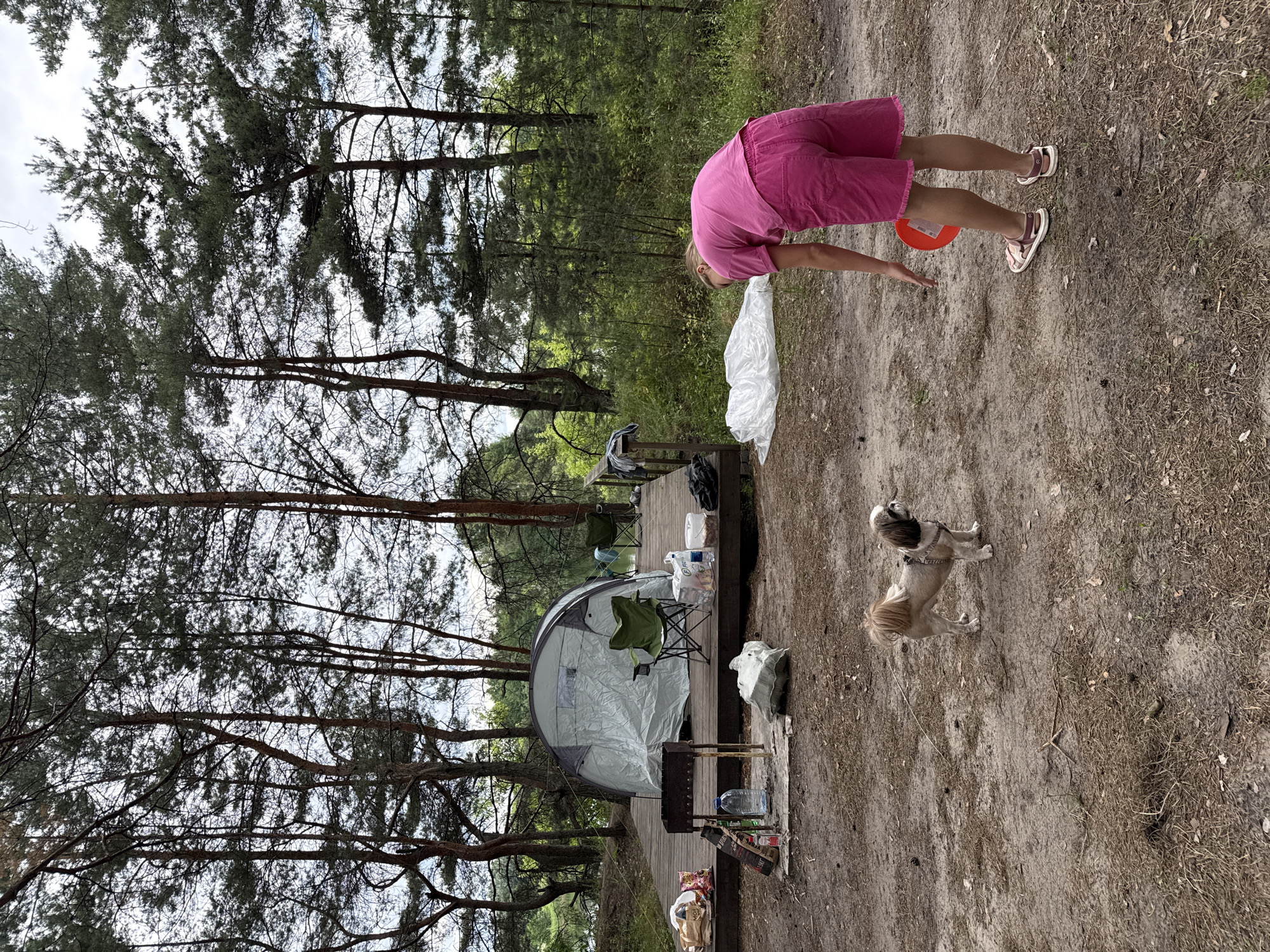The image shows a campsite in Kaplino, Russia, with a woman in a pink outfit bending over near a white bag. In the background, a tent is set up on a wooden platform, along with camping chairs and other supplies. Two small dogs are visible on the ground near the platform. The scene is set amongst tall pine trees with a cloudy sky overhead, suggesting it might be daytime with overcast weather. The overall impression is of a casual outdoor activity, possibly camping or picnicking. There is no visible text in the image.