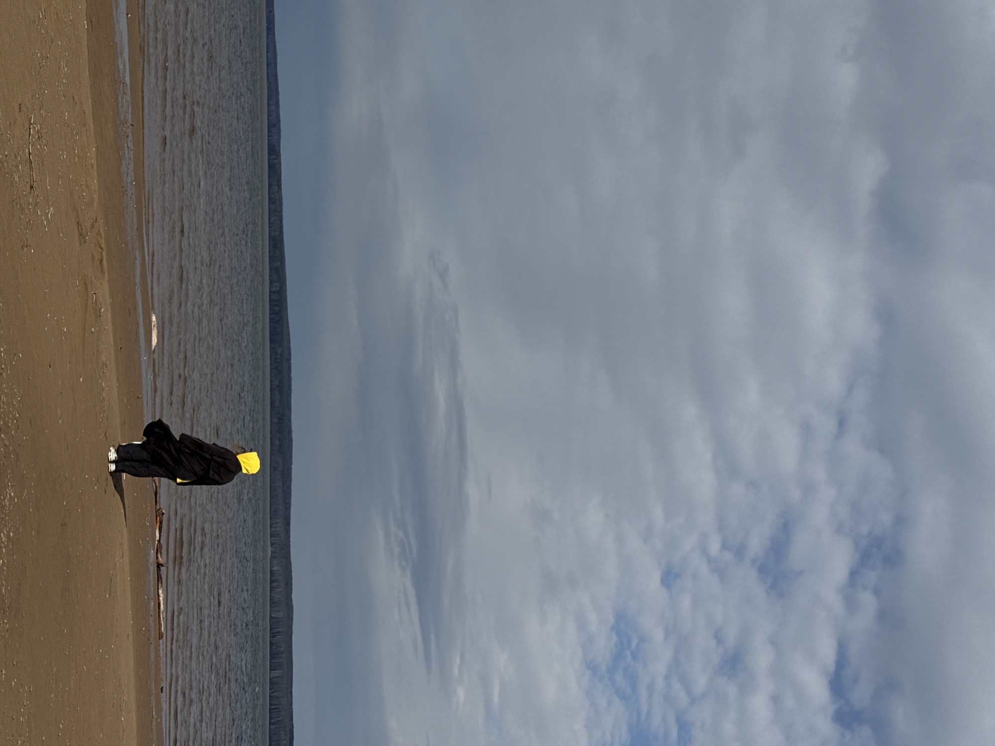 An outdoor scene captures a lone individual on a sandy or muddy beach next to a vast body of water. The image is originally oriented vertically but depicts a horizontal landscape.
In the foreground, a stretch of textured, light brown sand or mud extends, showing signs of moisture and small debris. Towards the center of the frame, a person stands facing away from the camera, looking out towards the water. They are dressed in dark attire, likely a black jacket or coat, with a prominent bright yellow hood. Their footwear consists of white sneakers. A piece of driftwood or a small log lies on the wet sand near the water's edge, close to the person.
The midground is dominated by a wide expanse of calm, greyish-blue water, possibly a large river or lake, showing subtle ripples on its surface. Beyond the water, a low, dark landmass or distant hills stretch across the horizon.
The sky occupies the upper portion of the image, filled with soft, diffused clouds that vary in density, with some patches of lighter blue sky visible, suggesting an overcast day with occasional breaks. The lighting is soft and natural, indicating daytime, possibly late afternoon or early morning, or simply a very cloudy period. The overall mood is quiet and contemplative.
No visible text is present in the image. The setting is consistent with a lakeside or riverside location, given the provided context of Chaikovsky, Russia, which is situated near the Kama River and Votkinsk Reservoir.
