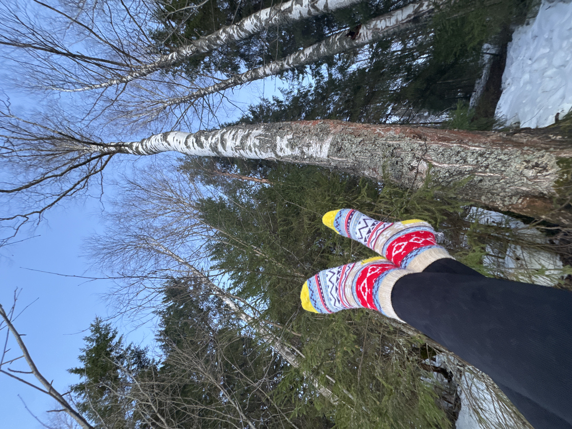 The image shows a view from a low angle, looking up through trees in a forest setting. The sky is visible through the branches, and there is snow on the ground. A person is visible from the knees down, wearing black pants and colorful, patterned socks. The trees include bare birch trees and green coniferous trees. It is difficult to establish the exact location within Вассята, Russia based on the image alone. There is no other information included in this image.