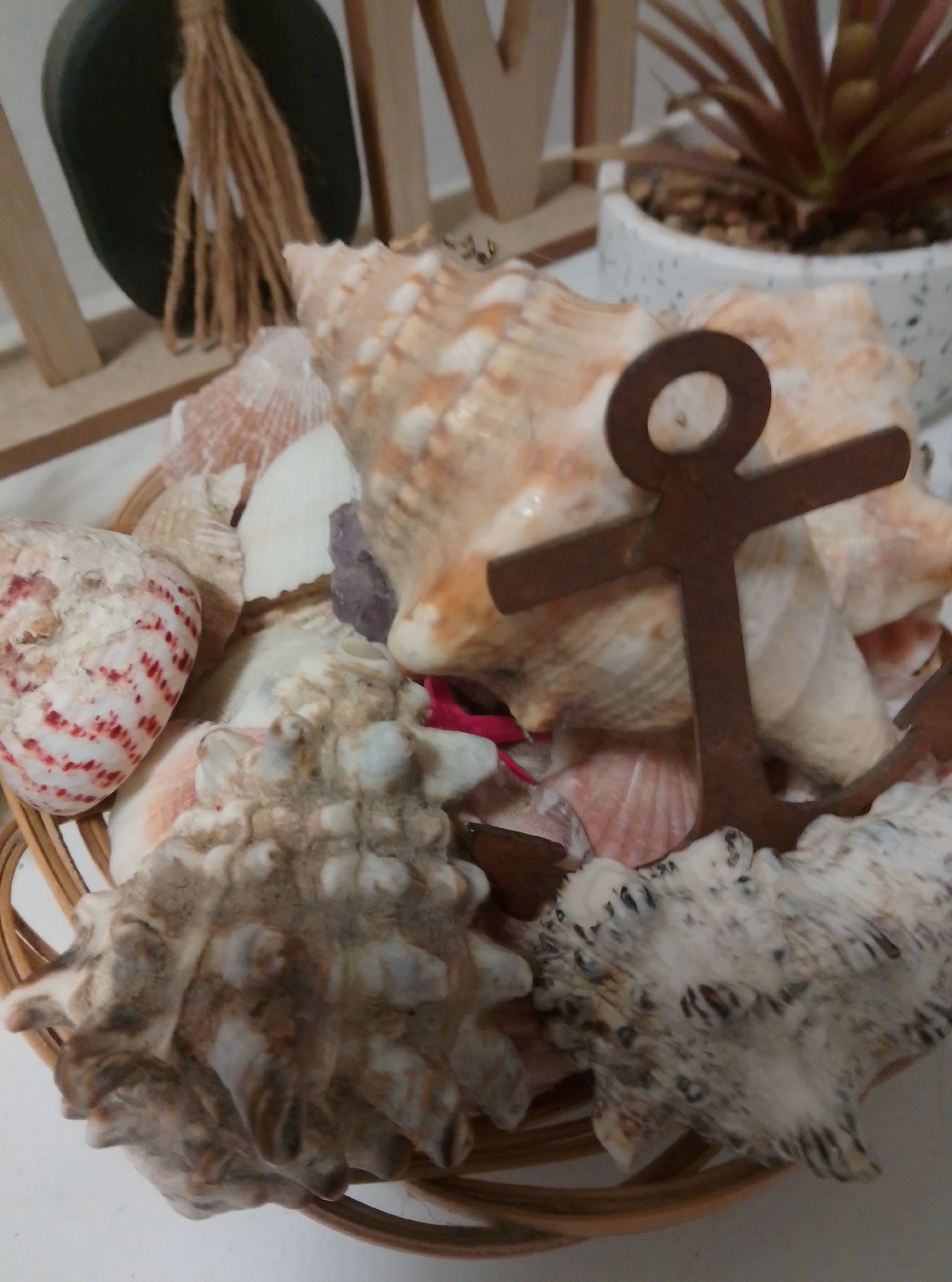 The image displays a close-up, eye-level view of a decorative arrangement of seashells in a woven basket. A small, rusty metal anchor figurine is placed in the center of the seashells. In the blurred background, a dark green, rounded object with twine wrapped around it is visible to the left, and a white pot with a plant and pebbles is to the right. Wooden letter blocks spelling out "HOME" are partially visible behind the shells and plant. The overall scene appears to be an indoor decoration. The image does not provide any information that would allow for the identification of its location in the city of Wedel, Germany.