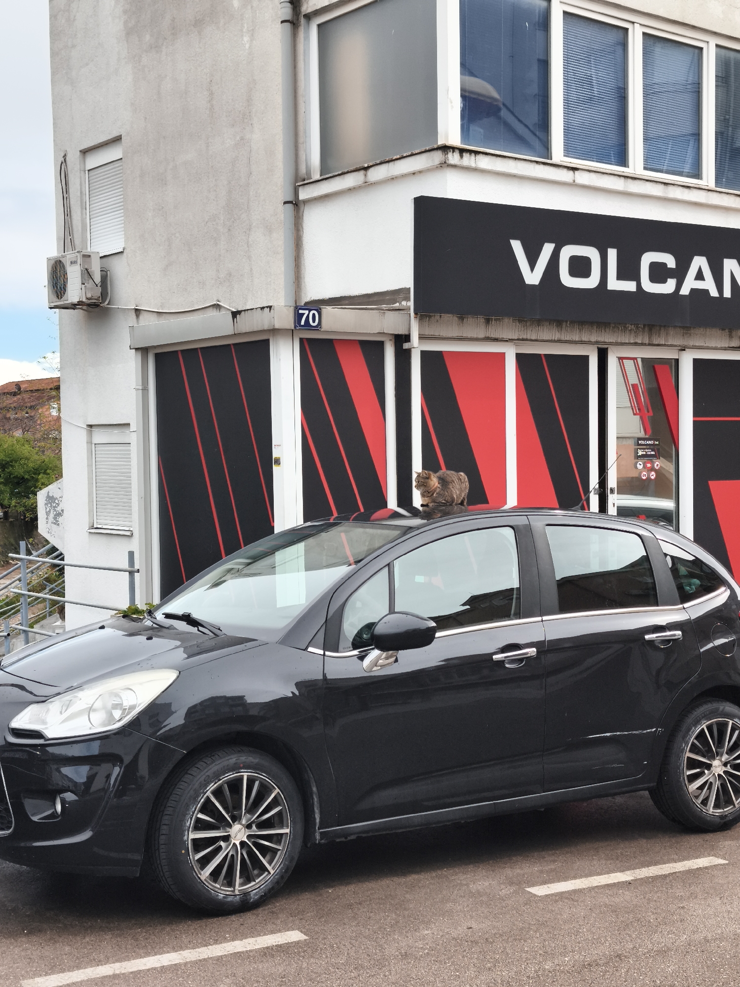 The image depicts an urban street scene in Budva, Montenegro, specifically at a location marked "70" on a building facade.
The primary subjects include a dark-colored vehicle and a cat, positioned in front of a multi-story building.
**Building:** The building features a light grey, weathered facade. The ground floor houses a commercial establishment identified by a prominent black sign displaying the word "VOLCANO" in white capital letters. The storefront below this sign is composed of black panels adorned with red diagonal stripes. An entrance door is partially visible, showing operating hours "9-22h". A blue street number plaque, "70", is mounted above the storefront. Upper levels of the building have windows with white frames; some display blue horizontal blinds. A white outdoor air conditioning unit is installed on the left side of the building's first floor, beneath a closed white roller shutter.
**Vehicle:** A dark grey or black five-door hatchback vehicle, consistent with a Citroën C3, is parked on an asphalt street marked with a white dashed line. The vehicle's front and driver's side are visible. It is equipped with custom multi-spoke alloy wheels. A distinct horizontal scratch or abrasion is present on the lower section of the driver's side rear door.
**Animal:** A brown and grey striped tabby cat is resting on the roof of the parked vehicle. The cat is seated calmly, facing towards the right side of the image.
**Environment:** The sky is overcast. To the left of the building, a metal railing and green vegetation are visible, indicating an adjacent landscape feature or elevated area. The street surface is dark asphalt.