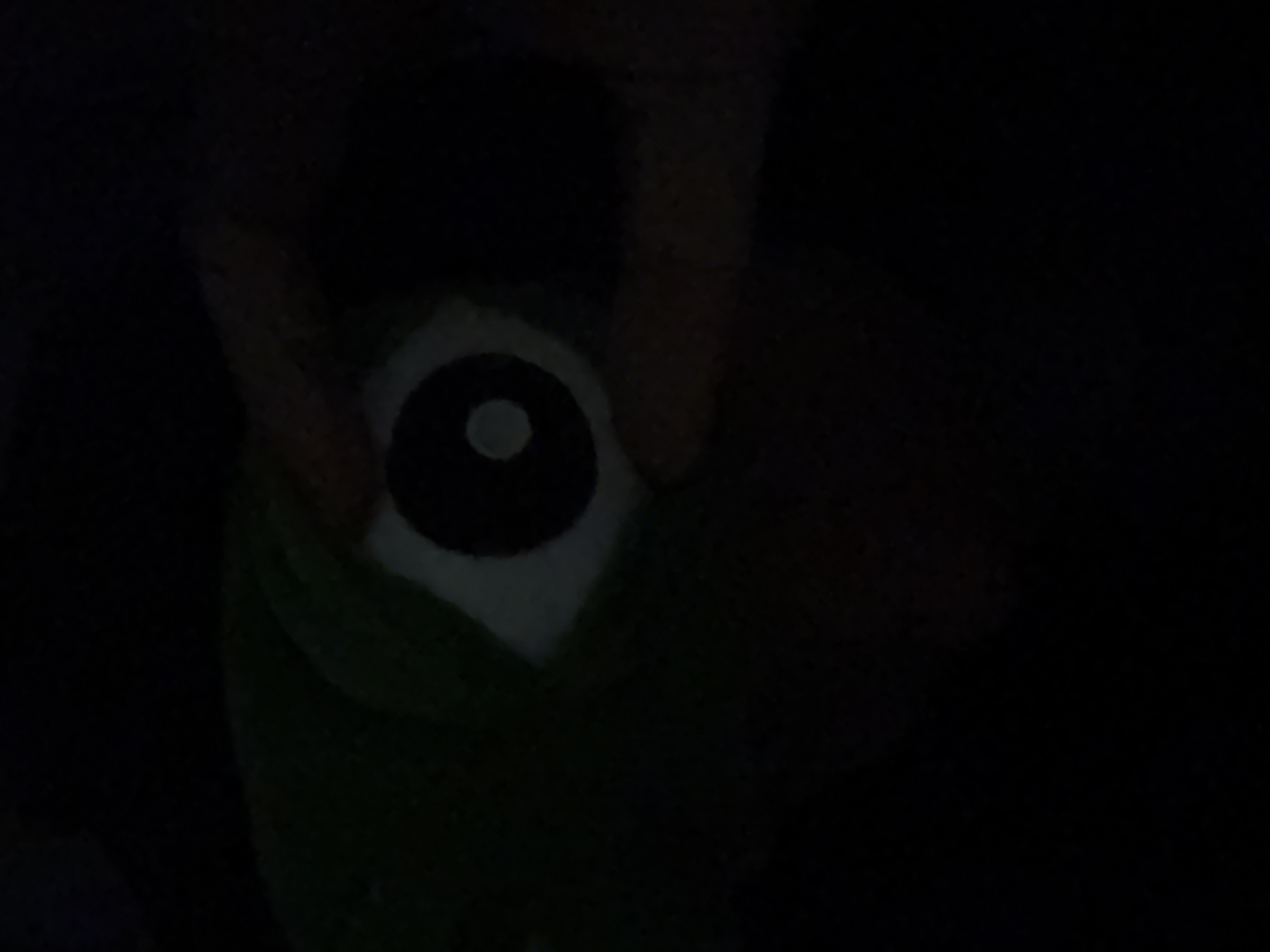 A dimly lit, close-up shot shows a person's fingers holding what appears to be a plush toy of Mike Wazowski from the movie Monsters, Inc. The eye of the toy is the most visible feature. The surroundings are dark and provide little context, but it is impossible to say it is in Belgrade, Serbia.