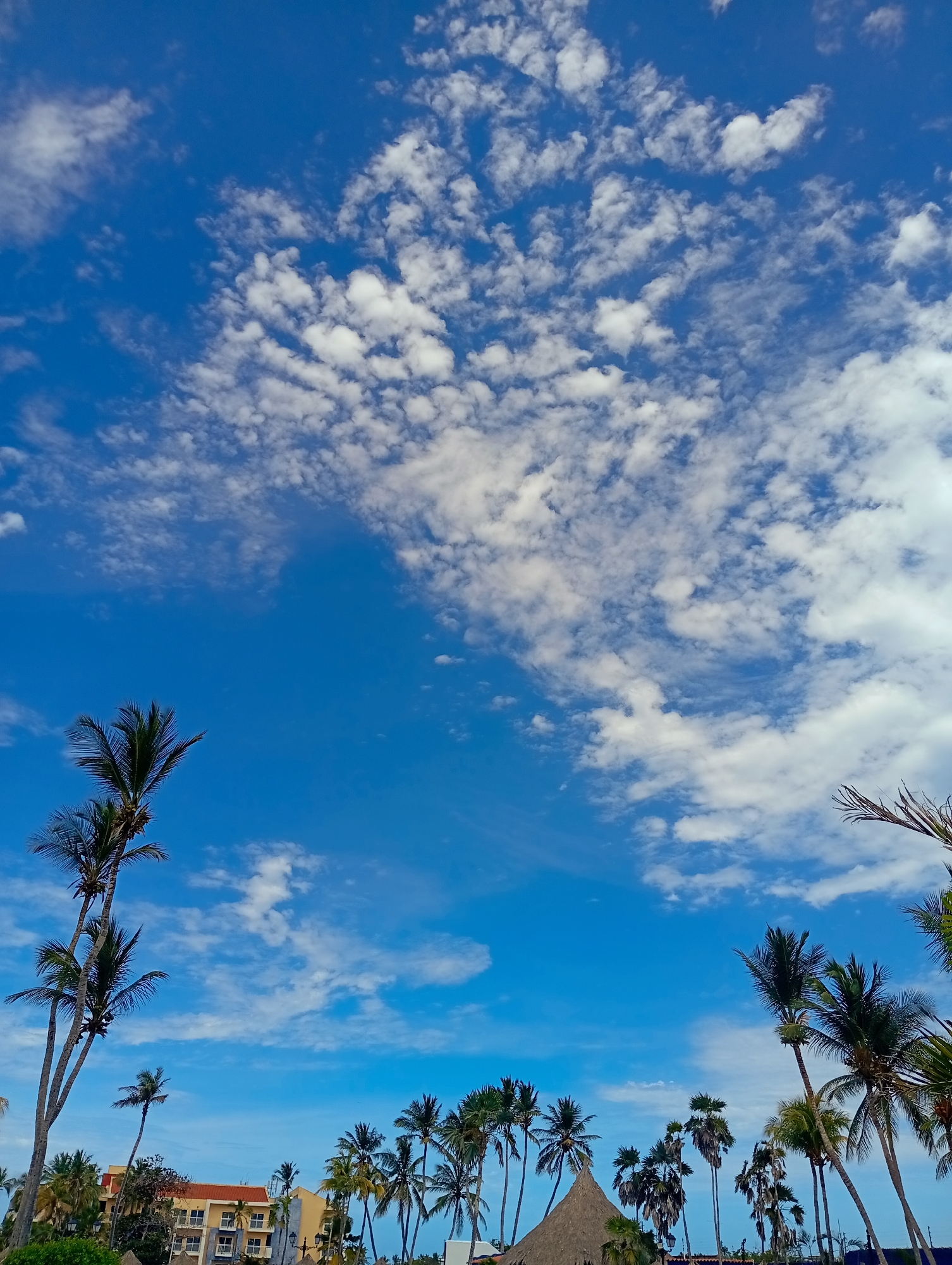 The image shows a view of Playa El Agua, Venezuela. The sky is blue and filled with cumulus clouds. Palm trees are visible in the foreground, and a building with yellow walls and a red roof can be seen on the left. A thatched-roof structure is in the center.