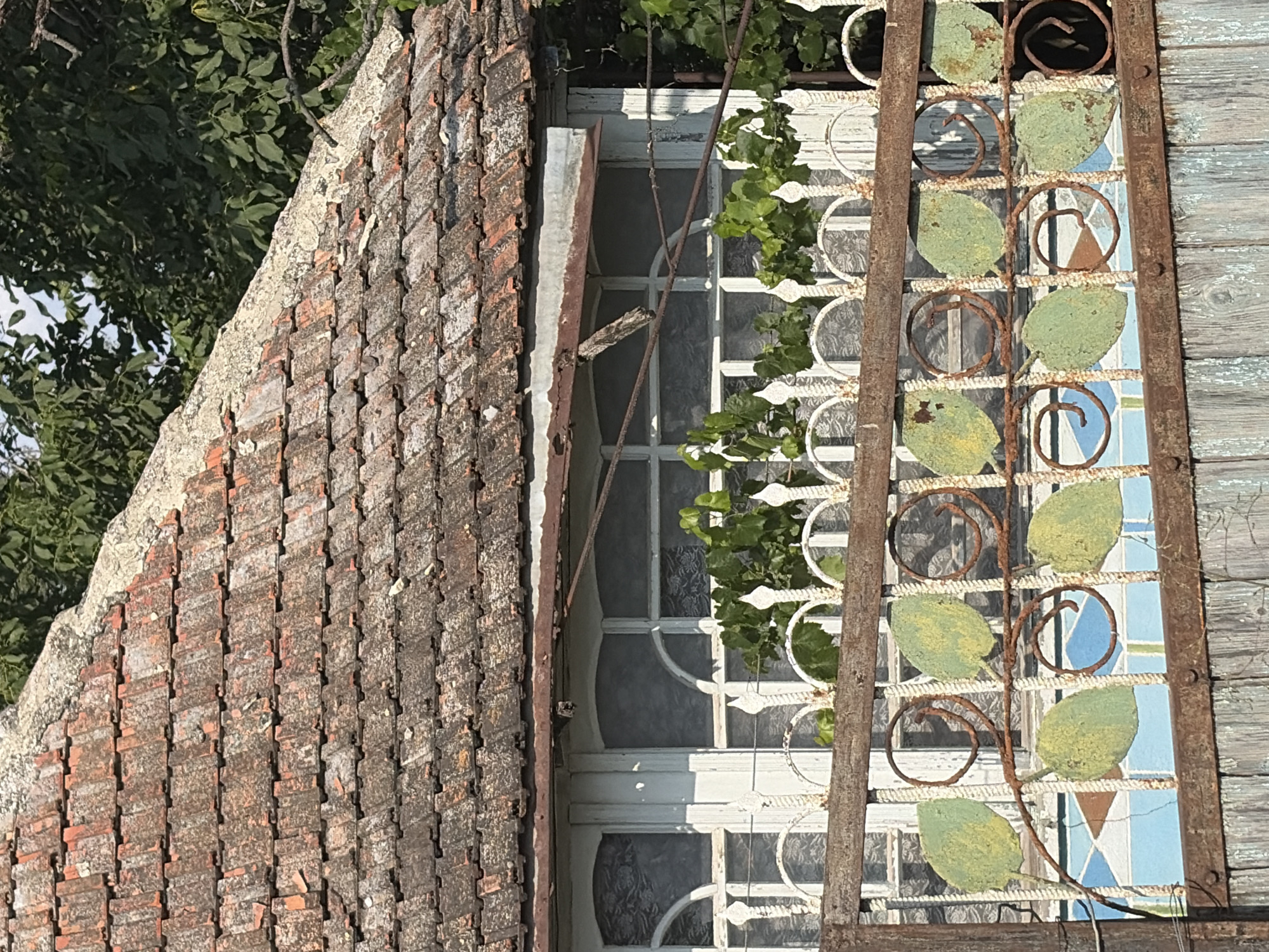 The image depicts a close-up view of the upper section of an old building in the village of Oxentea, Moldova. The focus is on the weathered, terracotta tiled roof, which shows signs of age and wear with some tiles missing or discolored. Below the roofline, a section of a building with white-framed windows is visible. These windows have arched tops and appear to have patterned glass or coverings. A decorative, rustic metal fence with leaf motifs and spiral designs runs across the foreground, partially obscuring the windows. Green vines are growing and climbing over the fence and around the windows. In the background, lush green trees with dense foliage are present, suggesting a rural or semi-rural environment. The lighting indicates it is daytime, likely sunny, casting shadows and highlighting the textures of the aged materials. There are no people or animals visible in the image.