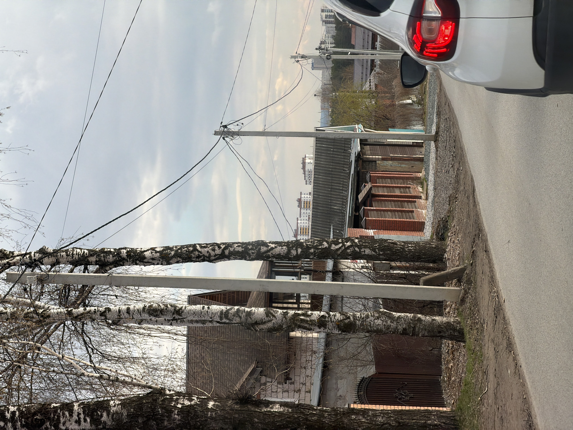 This image depicts a street scene in Izhevsk, Russia, likely during late winter or early spring, as evidenced by the bare branches of the trees. The sky is overcast and uniformly light grey, indicating daytime with subdued lighting conditions.
In the foreground and along the left side, several birch trees with characteristic white, peeling bark stand prominently. Their bare branches extend upwards, framing the scene. Behind these trees, a tall, grey concrete utility pole dominates the mid-ground, burdened with a complex network of power lines and cables that crisscross the sky. Another similar utility pole is visible further back along the street.
On the right side of the frame, a paved asphalt road extends into the distance. A white car, possibly a compact SUV, is partially visible in the upper right quadrant, showing its rear section with an illuminated red taillight. The strip of ground between the road and the buildings is unpaved, consisting of dirt and gravel with sparse, dry grass.
The background features an assortment of buildings. Closer on the left, a house with a dark, possibly corrugated metal roof and light-colored walls is partially visible. Further into the distance, various low-rise structures with similar roofs and brick or painted facades line the street. In the far background, taller, multi-story apartment buildings are discernable against the horizon, suggesting the presence of a more urbanized area beyond.
The scene is static, with no discernible activity or people visible. The image provides a factual glimpse into the infrastructure and typical residential architecture of a Russian urban periphery. No legible text is visible in the photograph.