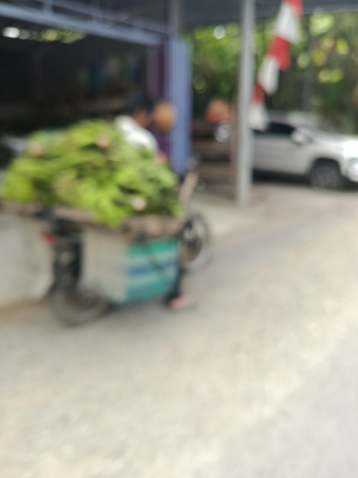 In Desa Rawajaya, Indonesia, a blurred image captures a street scene outside a structure, possibly a shop or market stall. A person, also blurred, is partially visible behind a cart. The cart is laden with a large quantity of green produce, likely vegetables or leafy greens, piled high. The cart itself appears to be a modified motorcycle or similar vehicle, with a wheel visible on the left side. In the background, a white car is parked, and a red and white flag, possibly the Indonesian flag, is visible. The environment suggests an outdoor, possibly informal commercial setting.