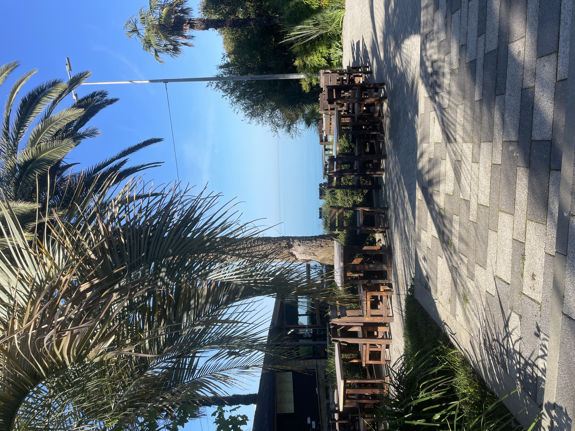 The image displays a bright, sun-drenched outdoor scene along a coastal area, likely a promenade or boardwalk, in Sochi, Russia. The perspective is rotated 90 degrees clockwise from a typical landscape view.
When viewed correctly oriented, the scene features a paved walkway on the right, made of alternating light and dark grey rectangular blocks. Long, distinct shadows of palm fronds and other unseen objects stretch across this path, indicating either early morning or late afternoon sun. To the left of the walkway, a long row of empty dark wooden tables and chairs are arranged, suggesting an outdoor dining area belonging to a cafe or restaurant.
Lush green vegetation, predominantly palm trees, frames the left side of the image and extends into the foreground. Their large, textured fronds are prominent, adding a tropical feel to the setting. Further back, more dense greenery and the top of a building with dark windows and a roof are partially visible. In the background, a calm, clear blue sea stretches towards the horizon, merging with a bright, cloudless blue sky. A tall metal lamppost with a light fixture can be seen against the sky. No people are present, lending a peaceful and serene atmosphere to the scene. There is no visible text in the image.