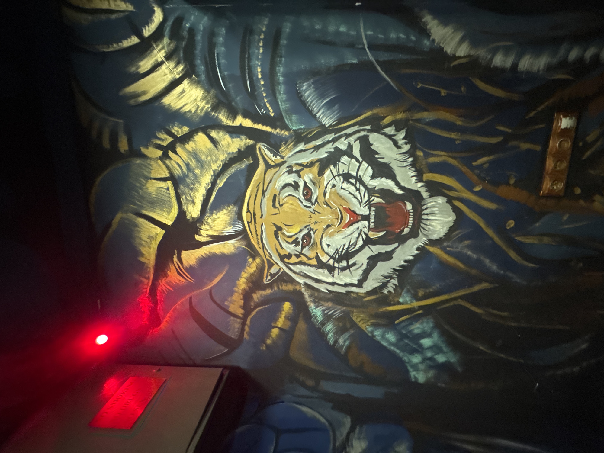 The image shows a mural painting of a roaring tiger. The painting features a white and black tiger face with an open mouth, sharp teeth, and red gums, amidst shades of blue and gold. The painting appears to be on a dark surface. To the lower left of the tiger is a rectangular, light-colored object with a red light on top of it. The scene is in a dark environment. The city and country are provided: Yerevan, Armenia.