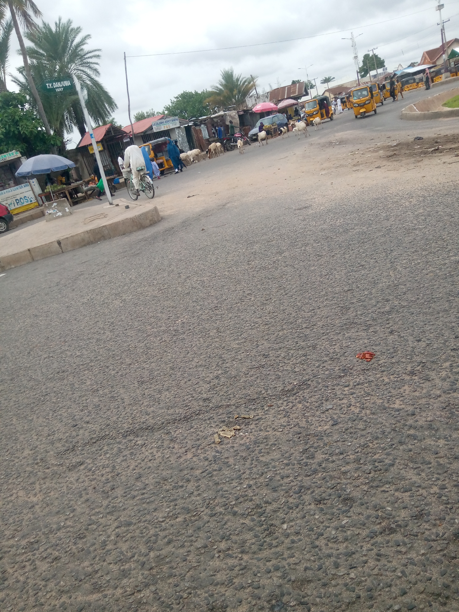 The image depicts a street scene in Jalingo, Nigeria, under an overcast sky. In the foreground, a paved road dominates the lower half of the frame, with visible gravel and texture. A concrete sidewalk runs along the left edge.
On the sidewalk, a person in a white garment is riding a bicycle. To the left of the sidewalk, a blue umbrella shades a seating area where several people are gathered. Various small shops and structures line the road, some with corrugated metal roofs. Signs are visible, including one that reads "T.Y. DANJUMA WAY".
Several yellow tricycles, commonly known as "Keke Napeps," are present on the road, some in motion and others parked. A small herd of goats is walking across the road, interacting with the traffic. The environment appears to be a busy urban or semi-urban area with pedestrian and vehicular activity. A few trash items are scattered on the road.