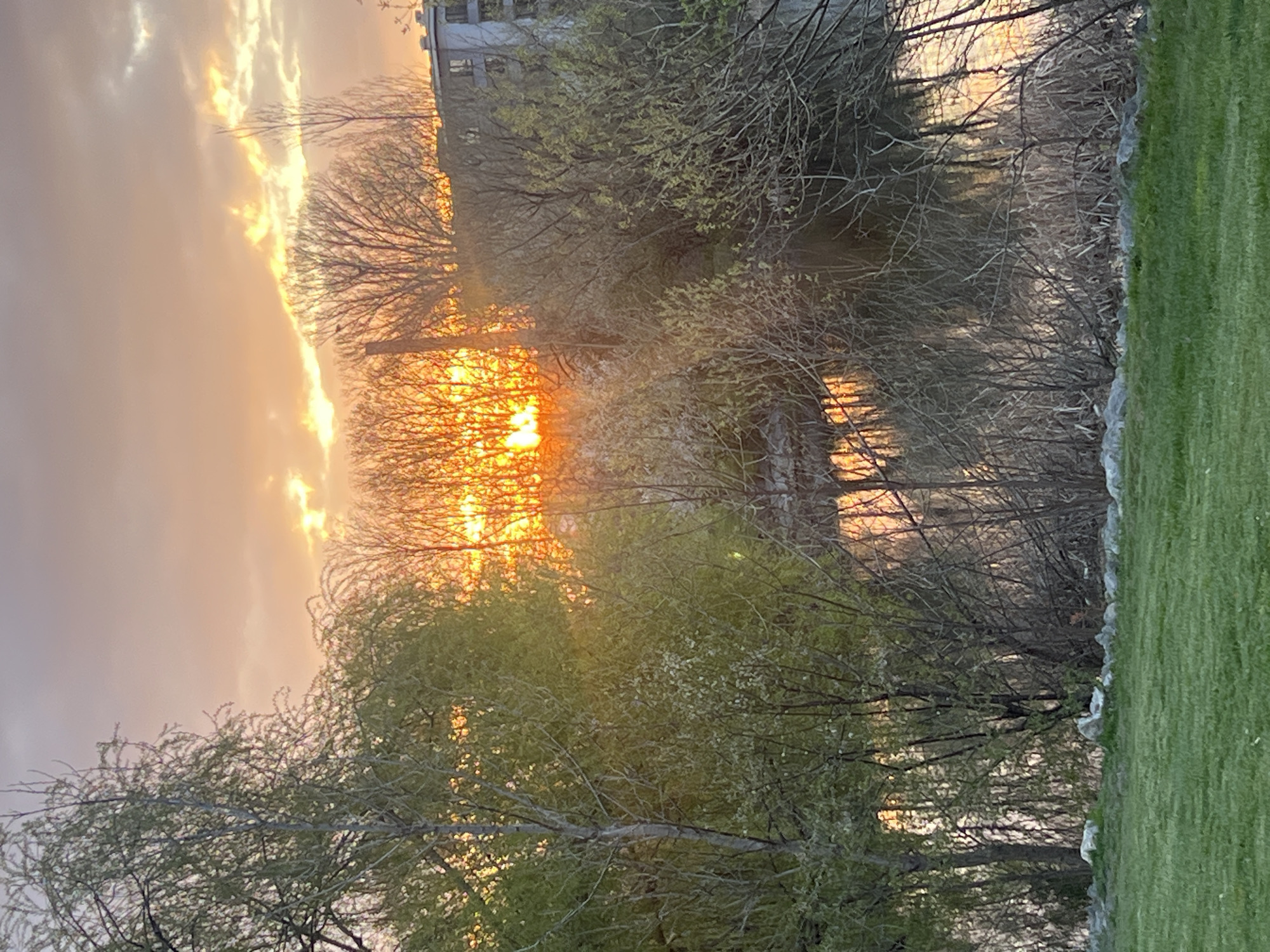 The image shows a sunset over a body of water lined with trees. The sun is low on the horizon, obscured by the trees and causing lens flare. The sky is a mix of orange, yellow and gray. The trees are mostly bare-branched, with some budding greenery visible. The body of water reflects the colors of the sunset. A building is partially visible in the background. The location is unknown and not stated in the image. There are no people visible. There are no specific objects or actions to describe beyond those associated with the landscape. There are no visible interactions. The environment is that of a park or natural area bordering water.