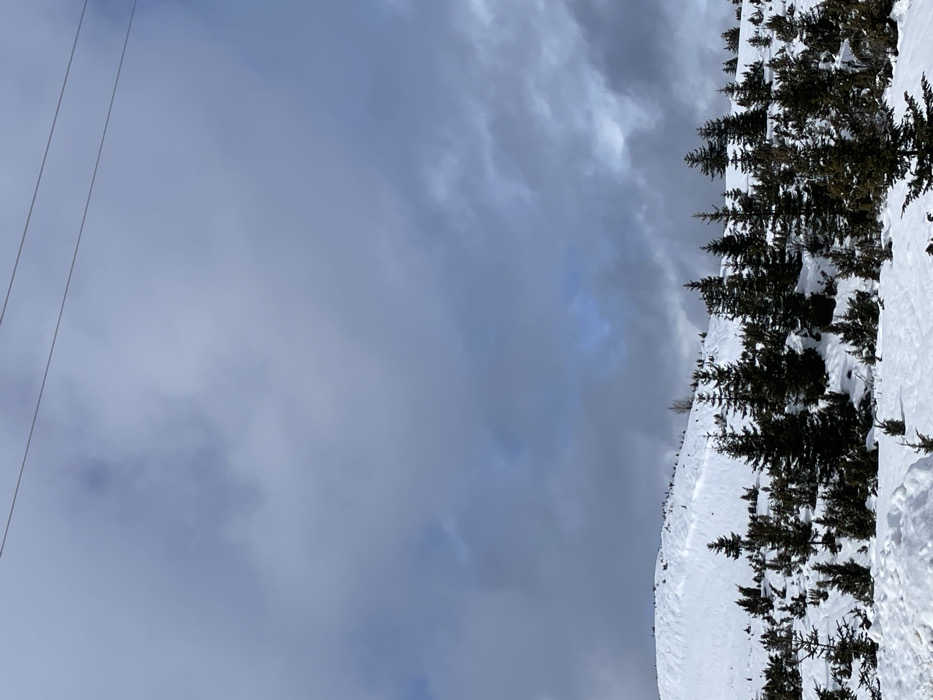 The image displays a snow-covered mountainous landscape in Kovačka Dolina, Montenegro, under a predominantly overcast sky. The upper two-thirds of the frame are occupied by dense, grey and bluish-grey clouds, with limited areas of lighter blue sky visible through breaks. Two thin, dark, horizontal lines, consistent with overhead wires, traverse the top portion of the sky. The lower third of the image reveals a snow-covered terrain, featuring a prominent snow-laden slope in the mid-ground. Numerous evergreen trees, ranging from small saplings to mature conifers, with dark green to brown foliage, are sparsely distributed across the snow, particularly in the foreground and mid-ground. Faint track-like depressions are present on the snow-covered slopes. One bare, light brown deciduous tree or shrub is visible on the upper slope, slightly to the left of the frame's center. No individuals, animals, or explicit actions are observed.