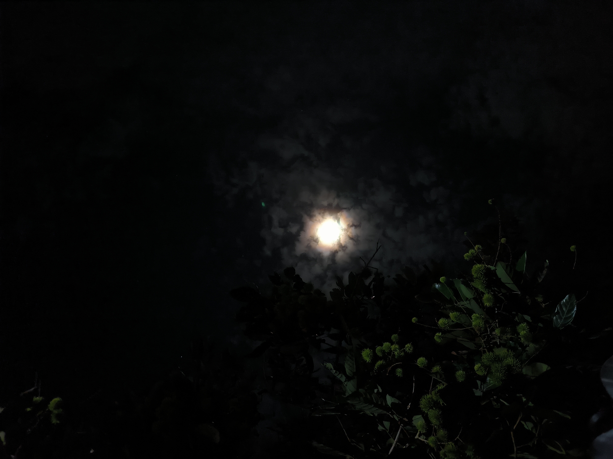 The image depicts a night scene in Lhokseumawe, Indonesia. A bright moon is visible through a layer of thin clouds in the dark sky. In the foreground, the silhouette of foliage, possibly a rambutan tree with green fruit, is partially illuminated by the moonlight. The rest of the image is shrouded in darkness. No people are visible.