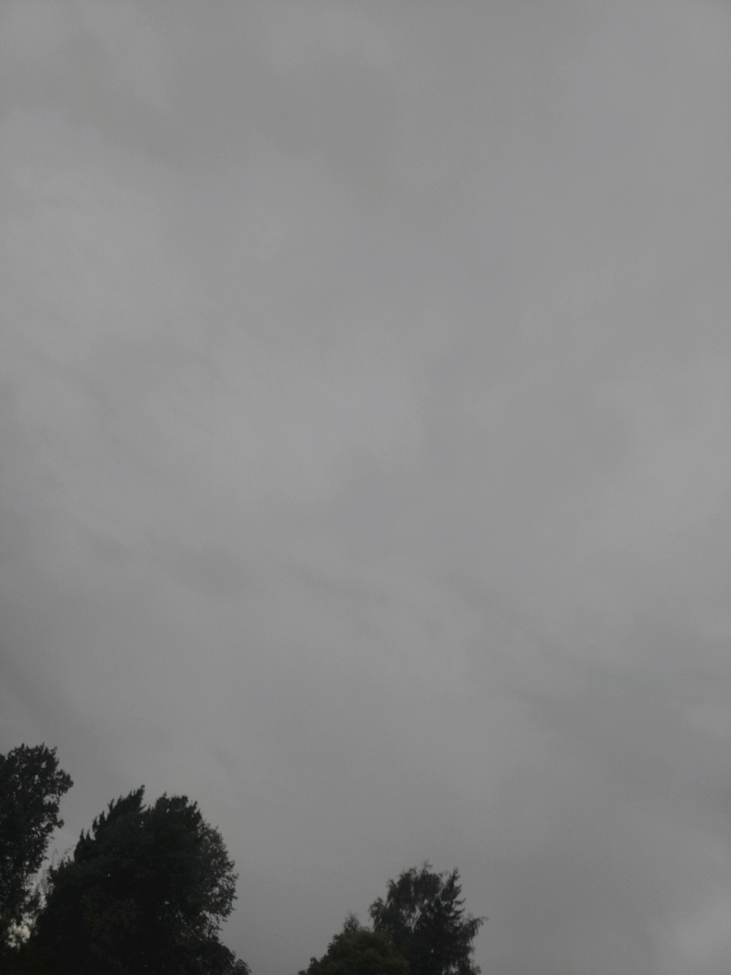 The image depicts a cloudy, overcast sky over a line of trees in Jelgava, Latvia. The trees are silhouetted against the muted grey sky, suggesting a dim or possibly rainy day. The foliage appears dense, with some branches extending upwards. The overall impression is one of a natural landscape under a somber sky, devoid of any human presence or urban elements.